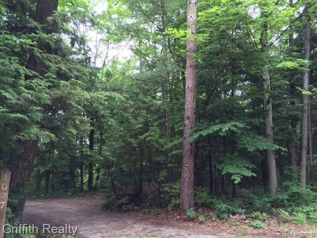 Lot 13 Lakeshore Road Charlevoix, MI 49720 - Photo 4 of 4