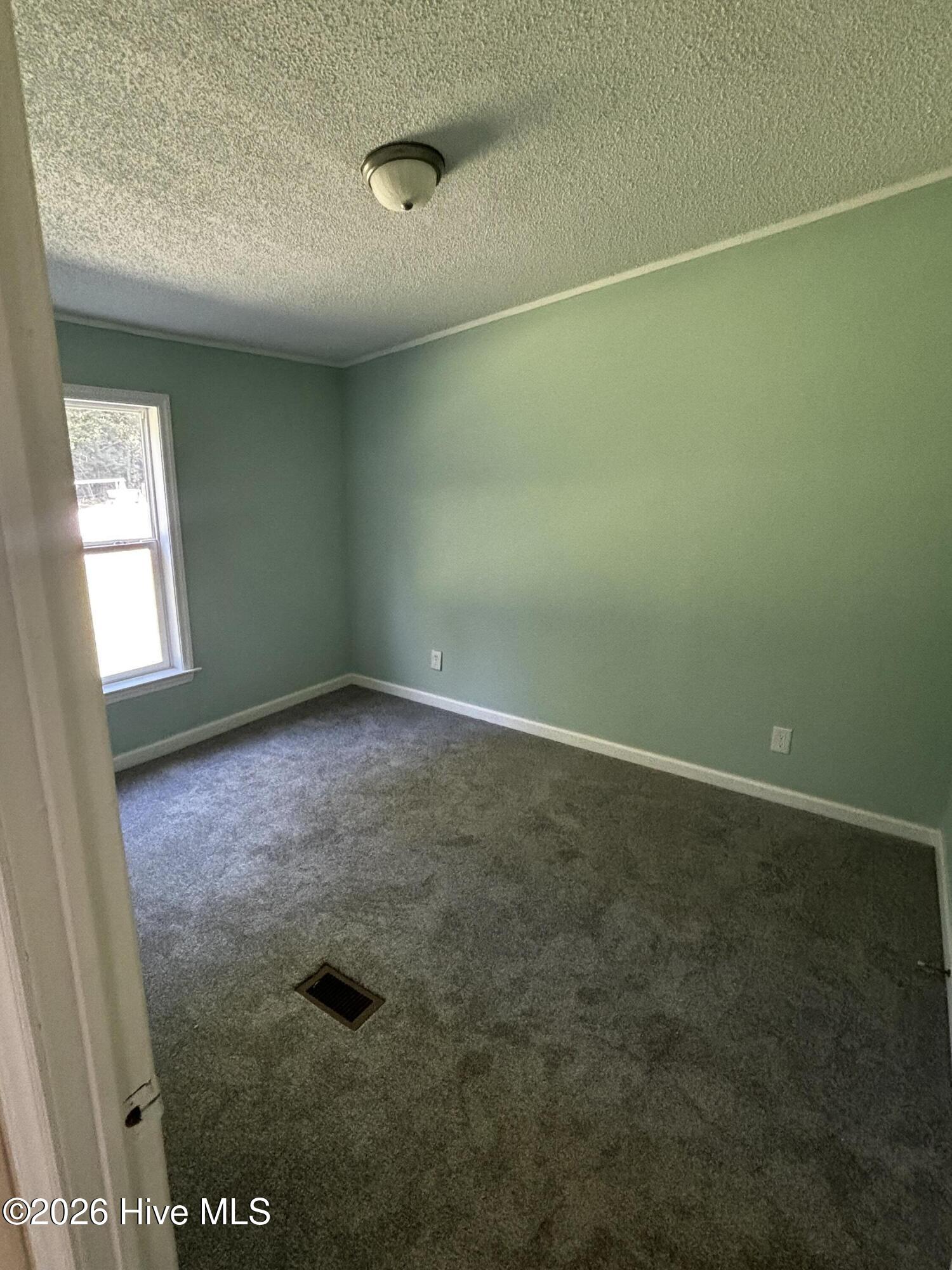357 Agri-John Road Littleton, NC 27850 - Photo 6 of 12