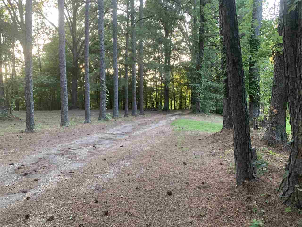 9150 Richardson Road Brighton, TN 38011 - Photo 21 of 25 Gallery Image 21