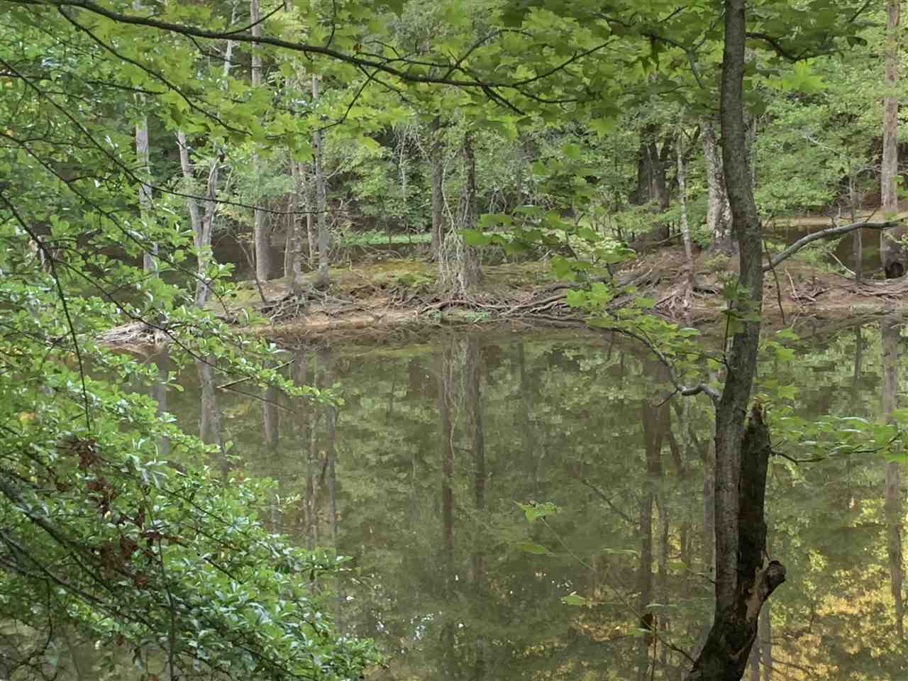 9150 Richardson Road Brighton, TN 38011 - Photo 23 of 25 Gallery Image 23