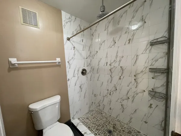 a white toilet sitting next to a shower curtain