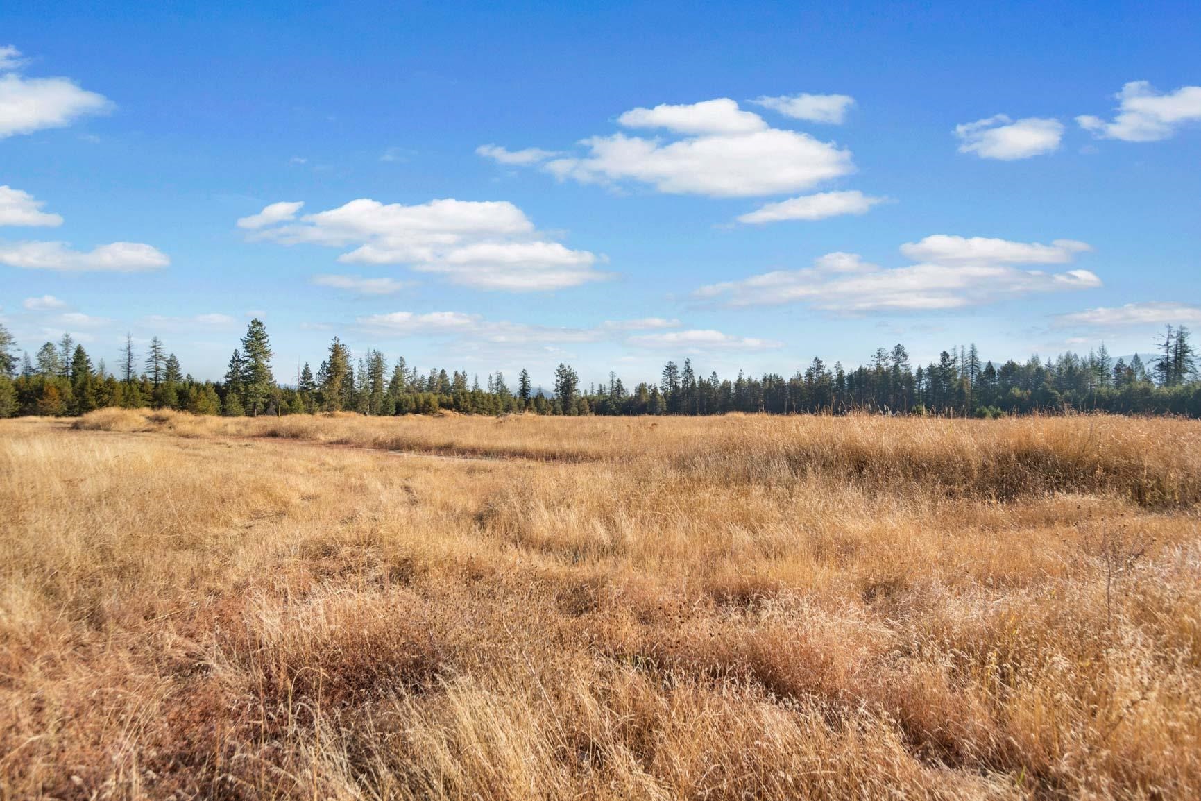 40606 North Madison Road Elk, WA 99009 - Photo 19 of 29