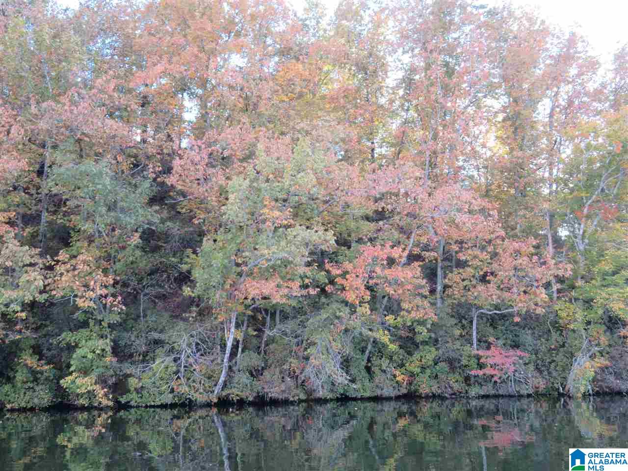 Lot 7 Eagle Mountain Road, Unit 7 Alexander City, AL 35010 - Photo 2 of 7