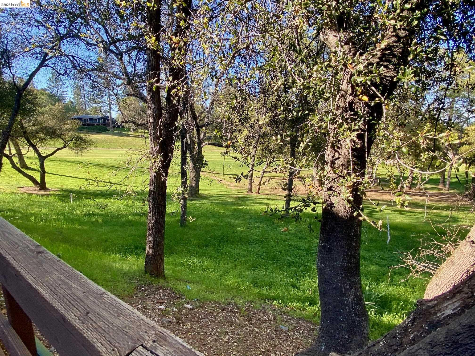 19096 Dyer Court, Unit 2 Groveland, CA 95321 - Photo 3 of 46 a view of yard with green space