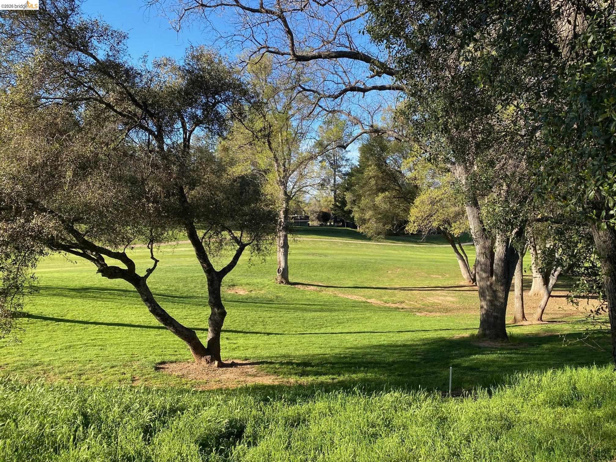 19096 Dyer Court, Unit 2 Groveland, CA 95321 - Photo 31 of 46 a view of a park with large trees