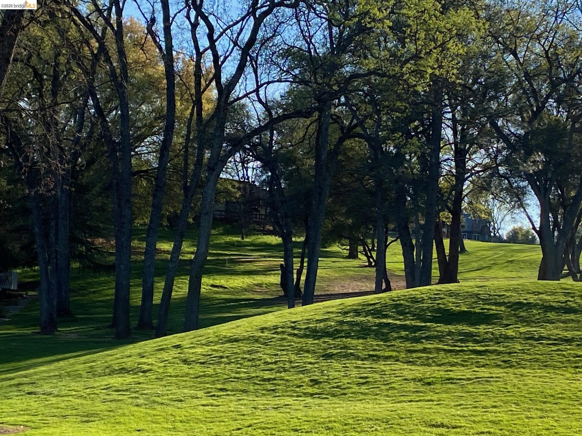 19096 Dyer Court, Unit 2 Groveland, CA 95321 - Photo 32 of 46 a view of park with trees