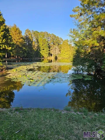 $729,999 | 17820 Highway 42, Livingston, LA 70754