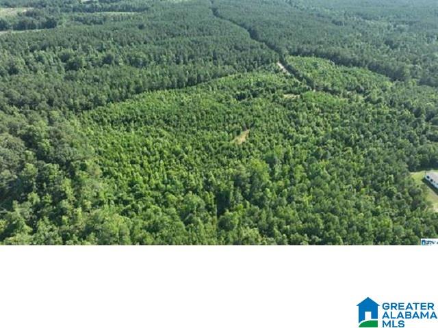0 County Road 253, Unit 3 Clanton, AL 35046 - Photo 8 of 8