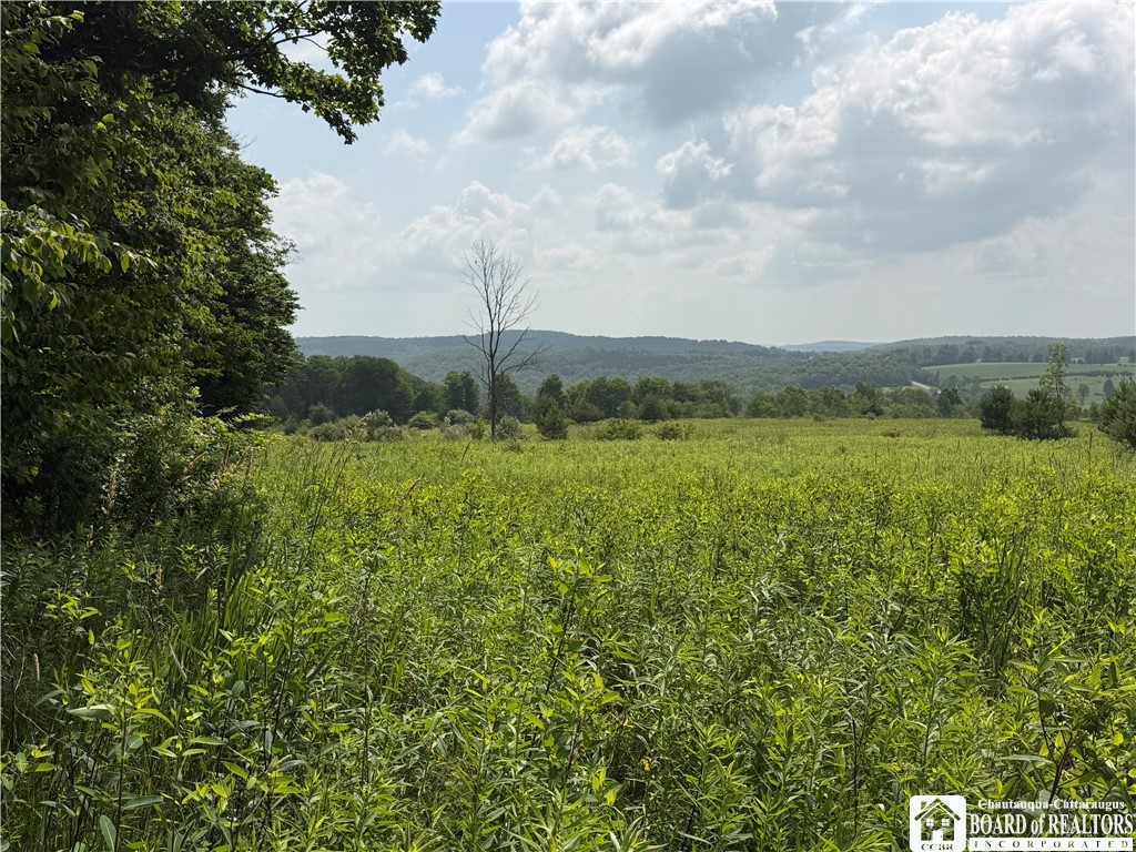 2751 Canfield Road Cohocton, NY 14826 - Photo 27 of 50