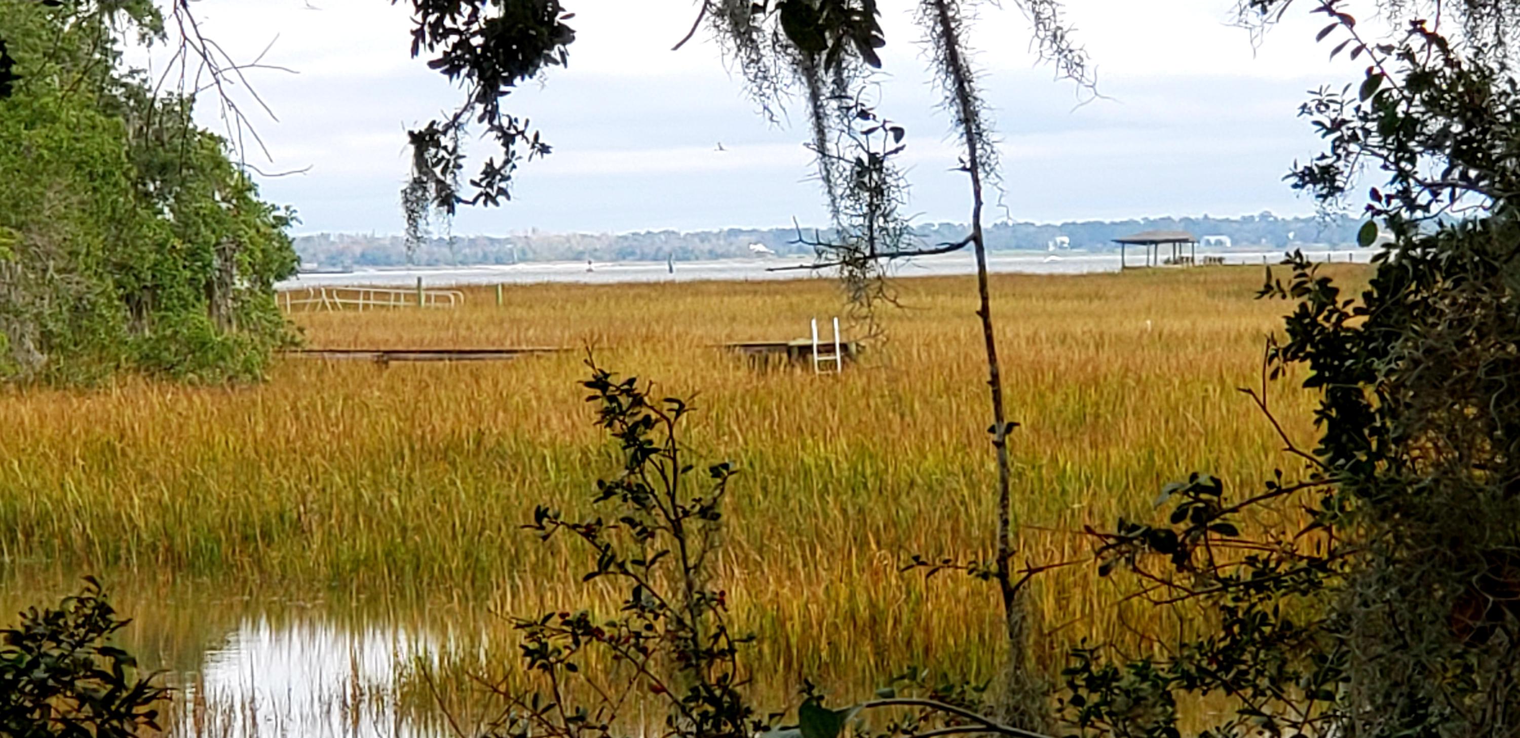 Lot 28 Compass Point Charleston, SC 29412 - Photo 2 of 25 20201113_172524