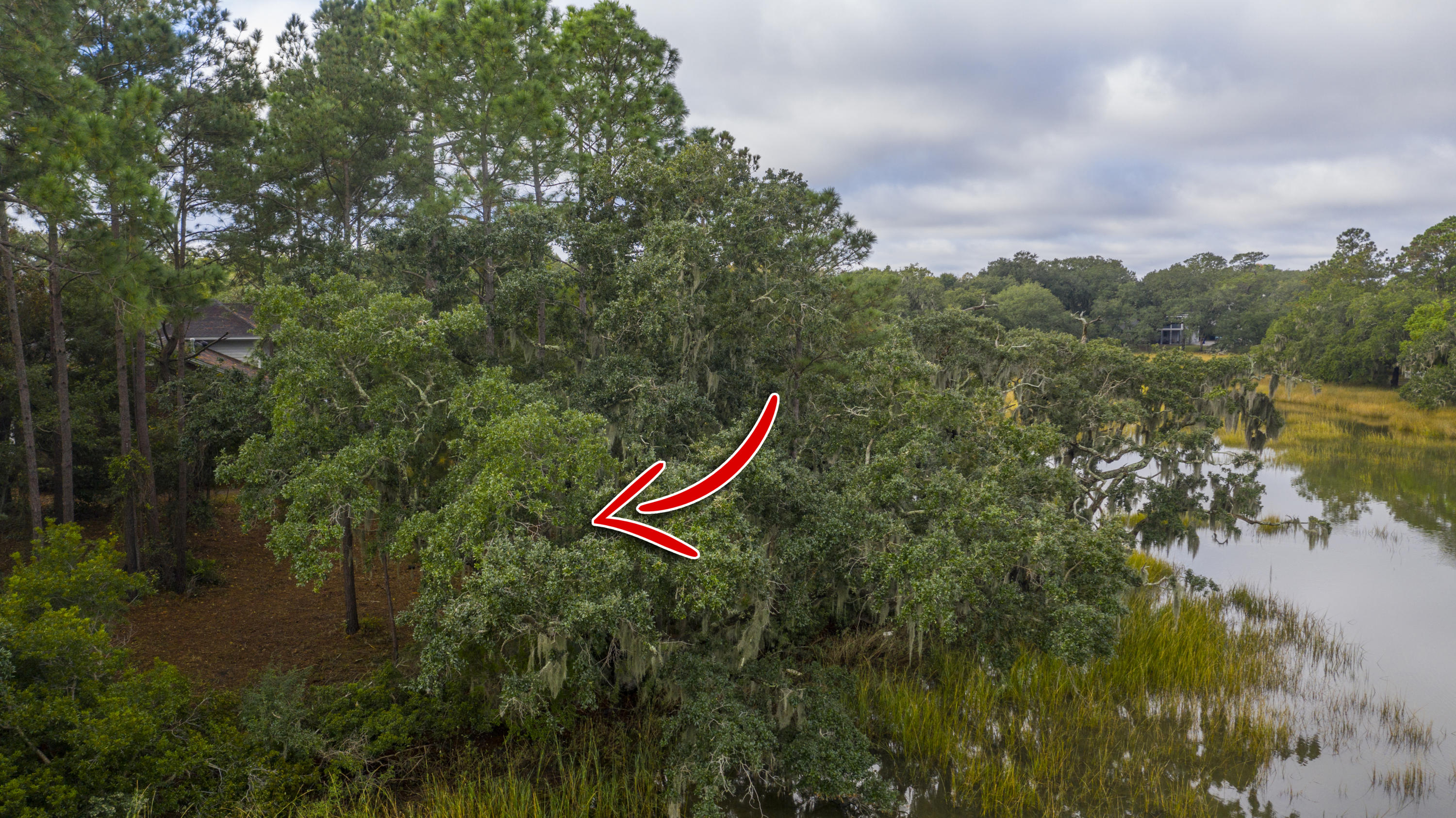 Lot 28 Compass Point Charleston, SC 29412 - Photo 24 of 25 Compass_Edited_011 copy