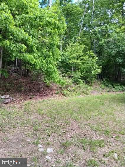 778 Falconwood Road Paw Paw, WV 25434 - Photo 23 of 25
