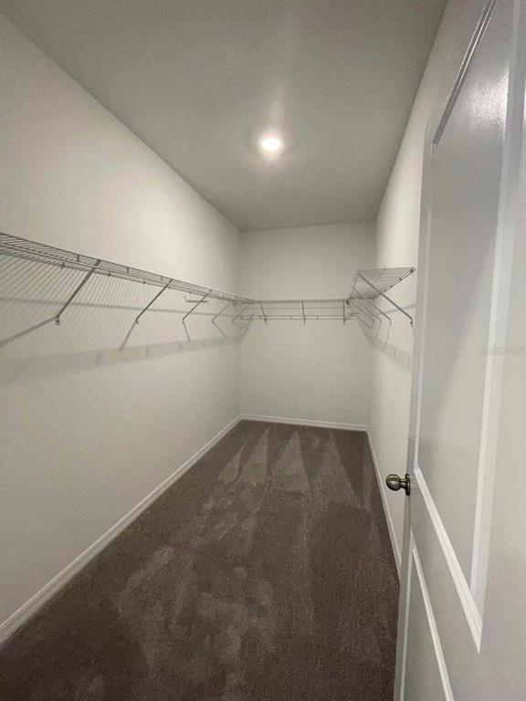 31993 Blue Passing Loop Wesley Chapel, FL 33545 - Photo 16 of 17 a view of a room with racks on the wall