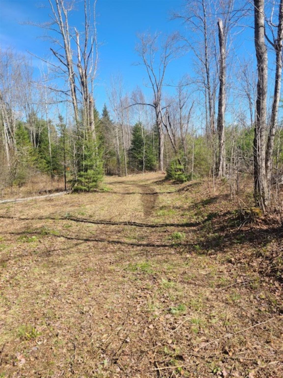 Lot 4 Old East Road Whitefield, NH 03598 - Photo 3 of 4