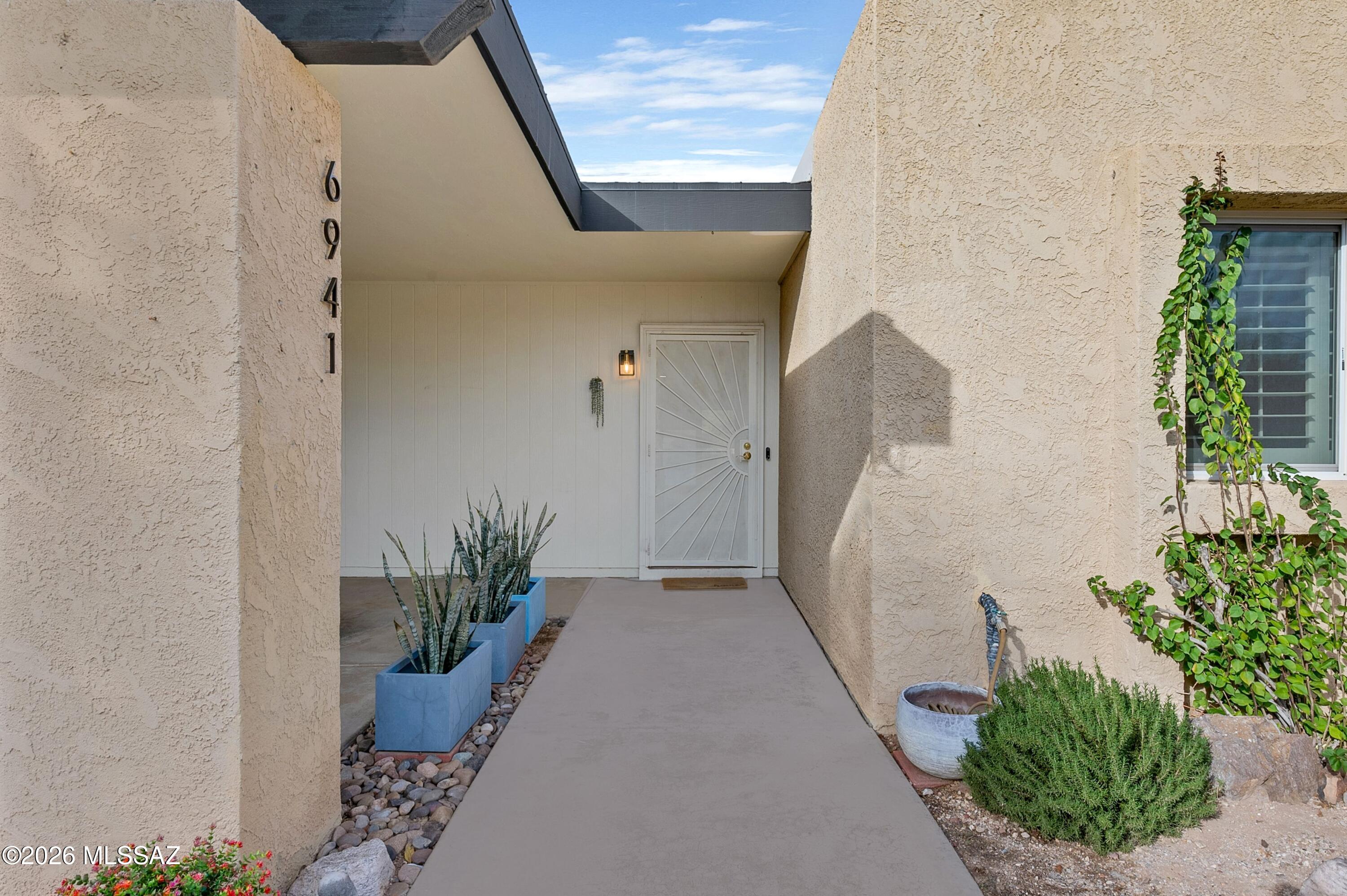 6941 East Rivercrest Road Tucson, AZ 85750 - Photo 23 of 32 a view of a potted plants next to a wall