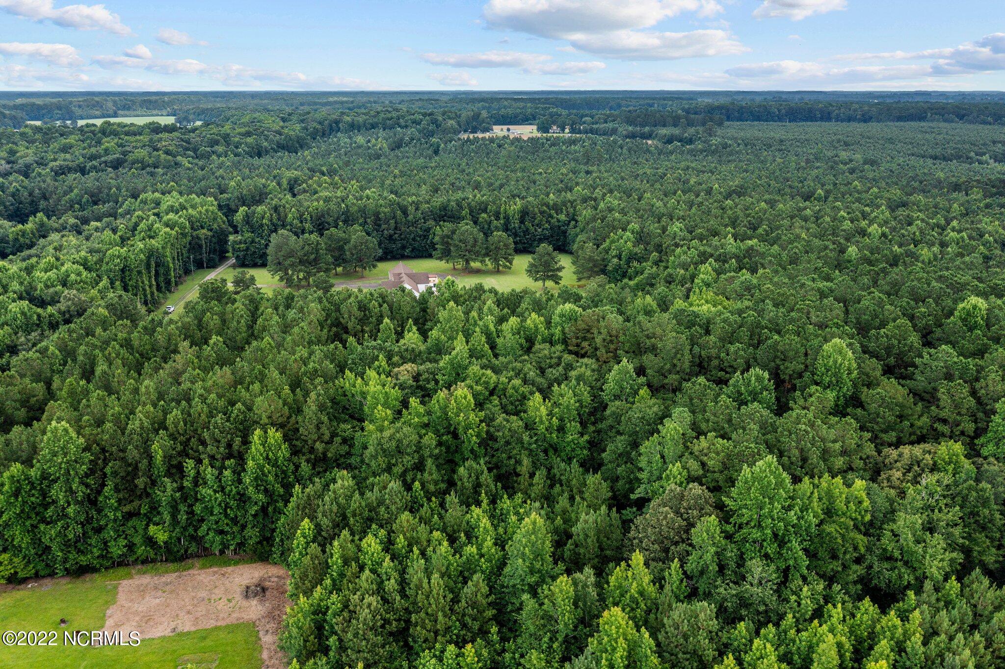 0 Bright Acres Road Washington, NC 27889 - Photo 12 of 12 12-web-or-mls-DJI_0137