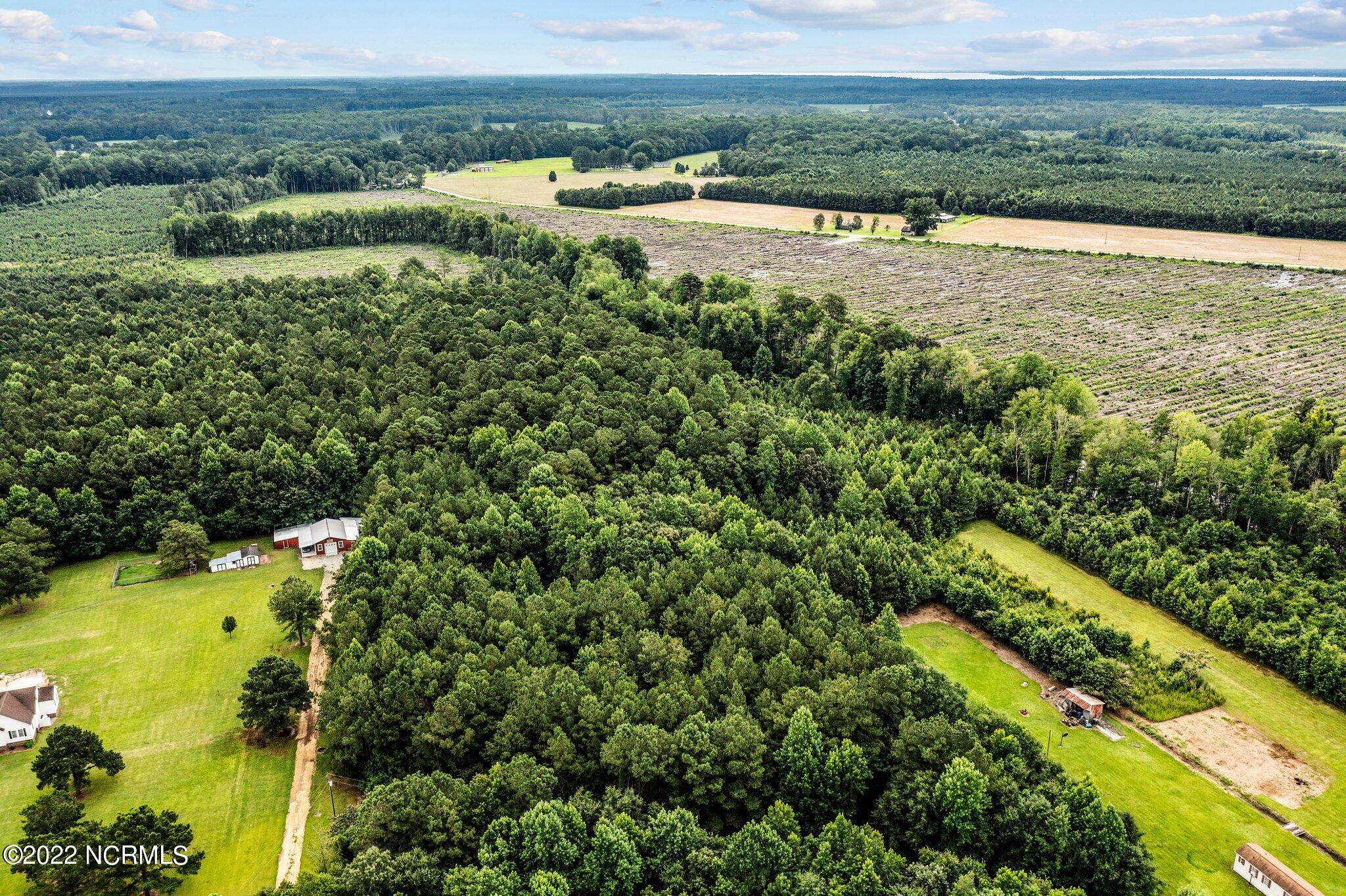 0 Bright Acres Road Washington, NC 27889 - Photo 2 of 12 2-web-or-mls-DJI_0127