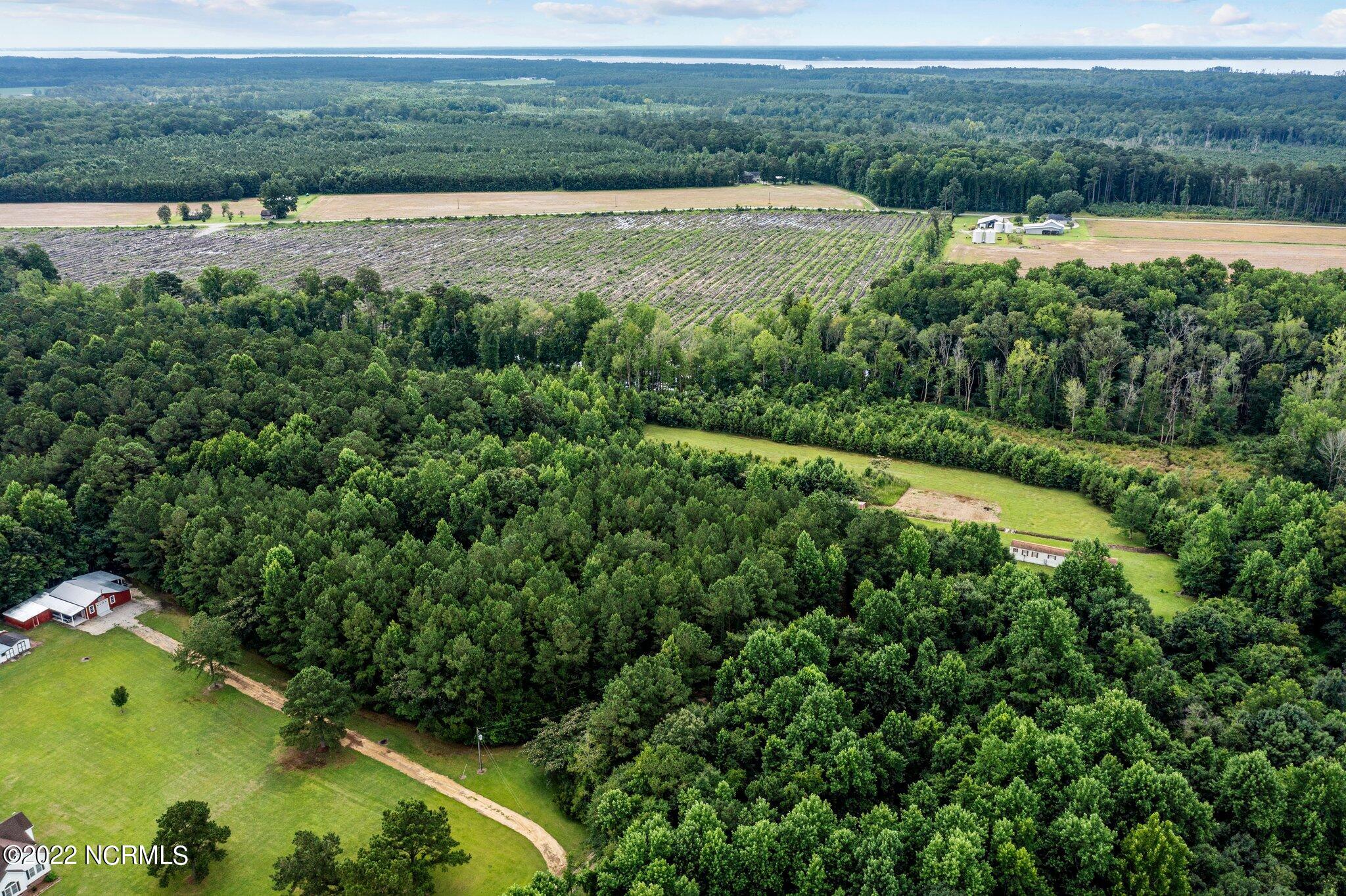 0 Bright Acres Road Washington, NC 27889 - Photo 3 of 12 3-web-or-mls-DJI_0128