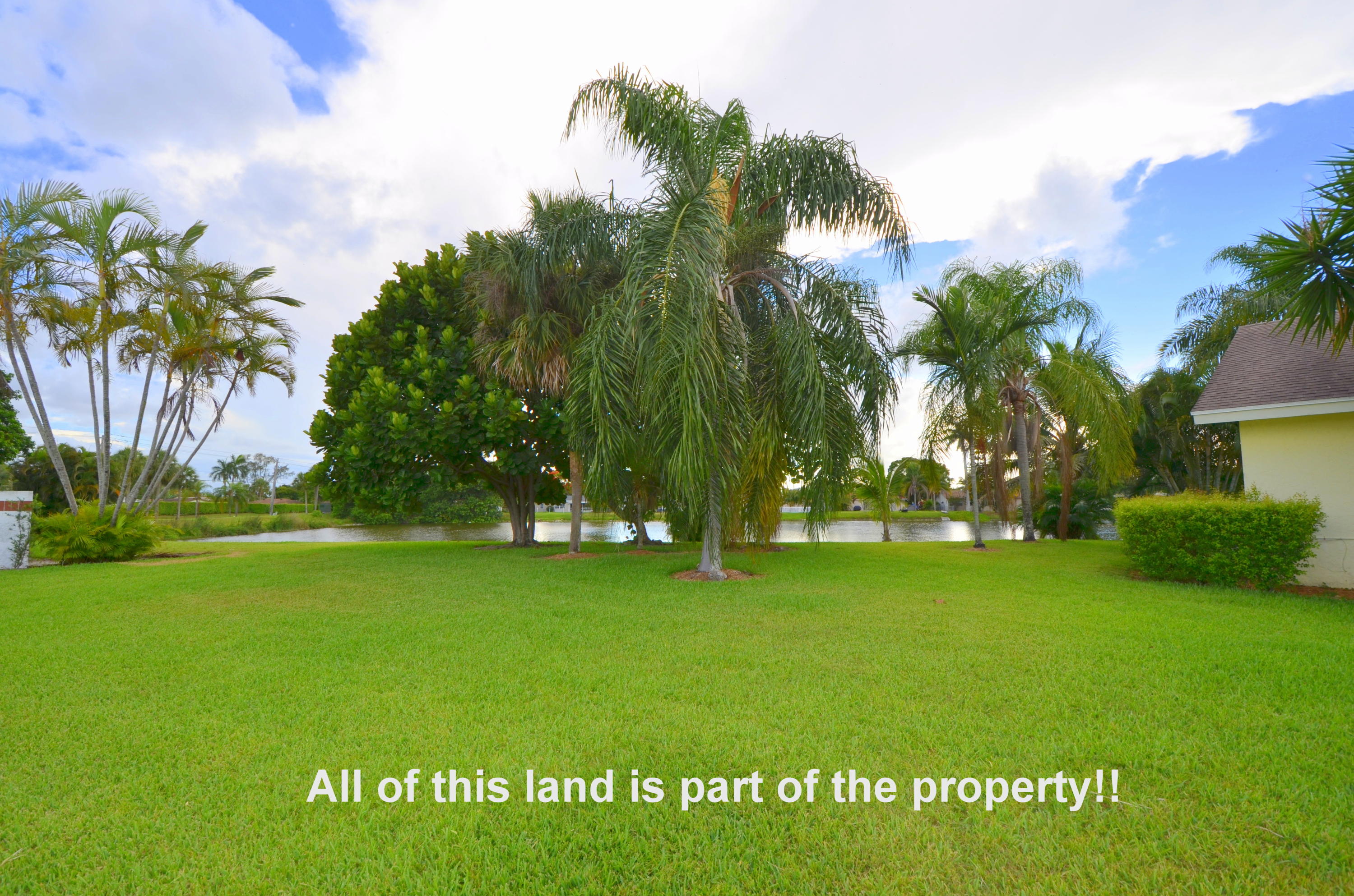 9539 Silverspring Lane Boca Raton, FL 33434 - Photo 3 of 28 a view of a tree in front of a house