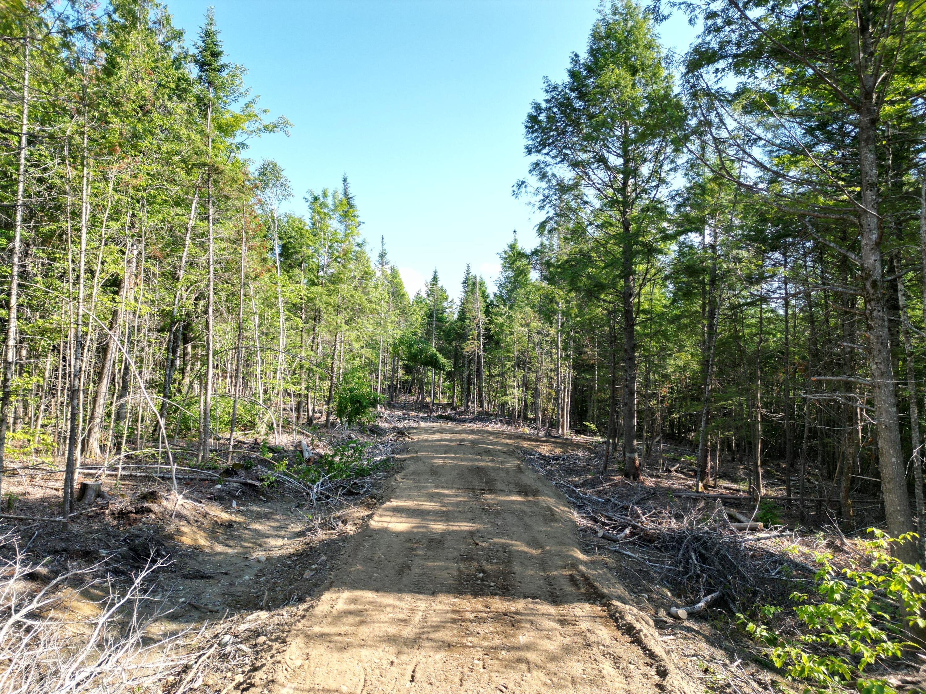 Lot 1-2 Off Clear Cut Lodge Road Springfield, ME 04487 - Photo 11 of 15 DJI_0996