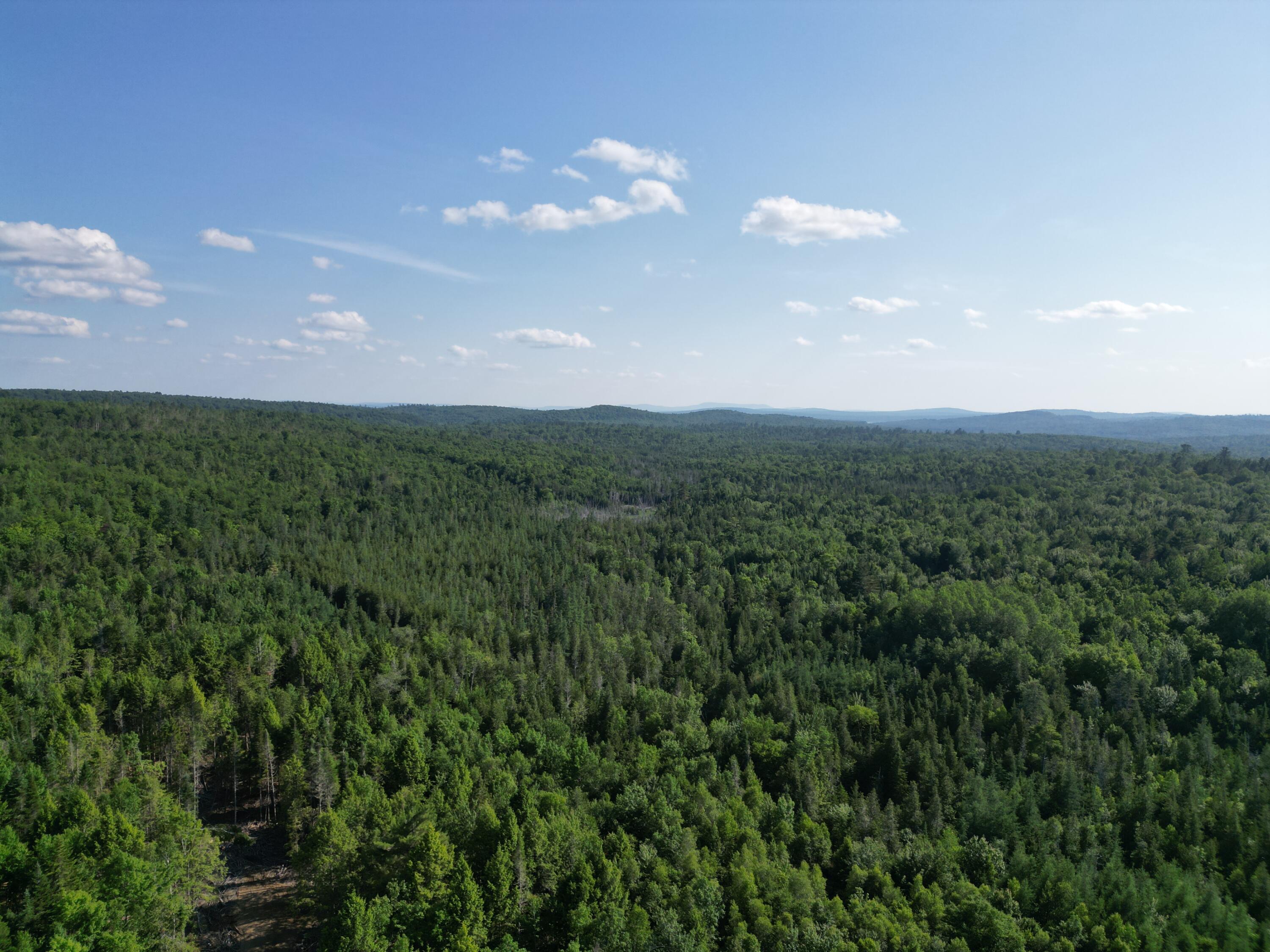 Lot 1-2 Off Clear Cut Lodge Road Springfield, ME 04487 - Photo 15 of 15 DJI_0003