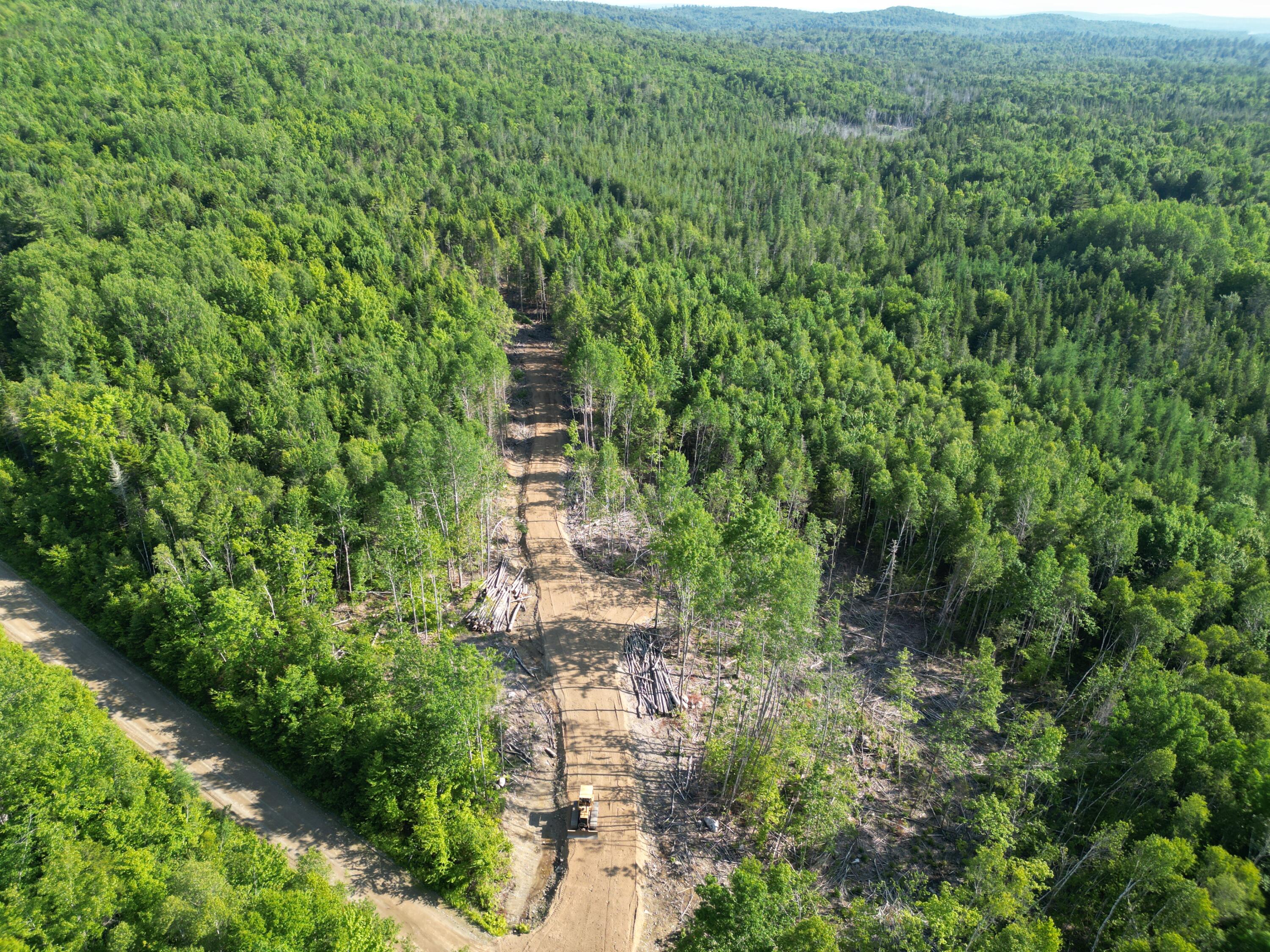 Lot 1-2 Off Clear Cut Lodge Road Springfield, ME 04487 - Photo 3 of 15 DJI_0002
