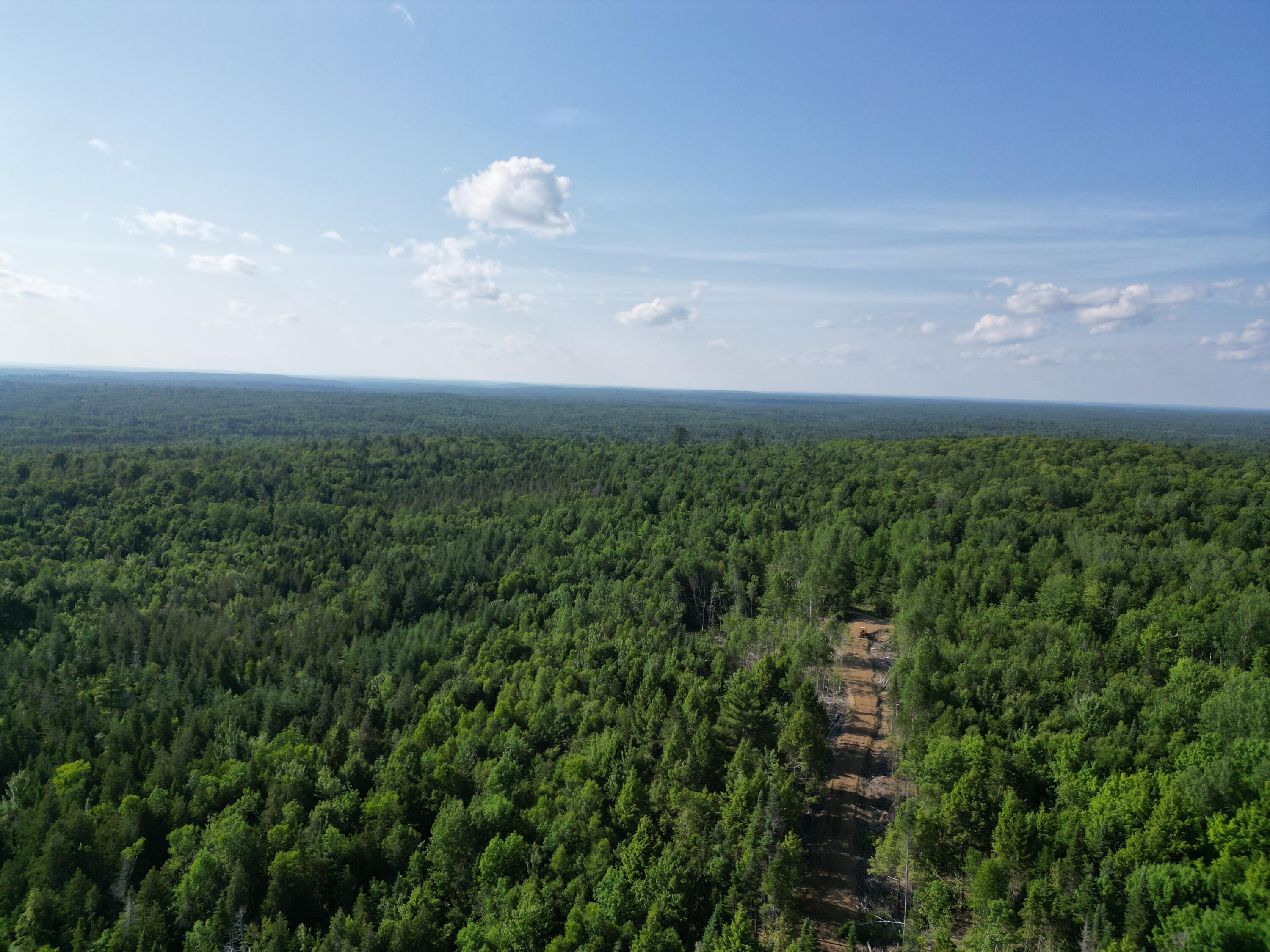 Lot 1-2 Off Clear Cut Lodge Road Springfield, ME 04487 - Photo 4 of 15 DJI_0004