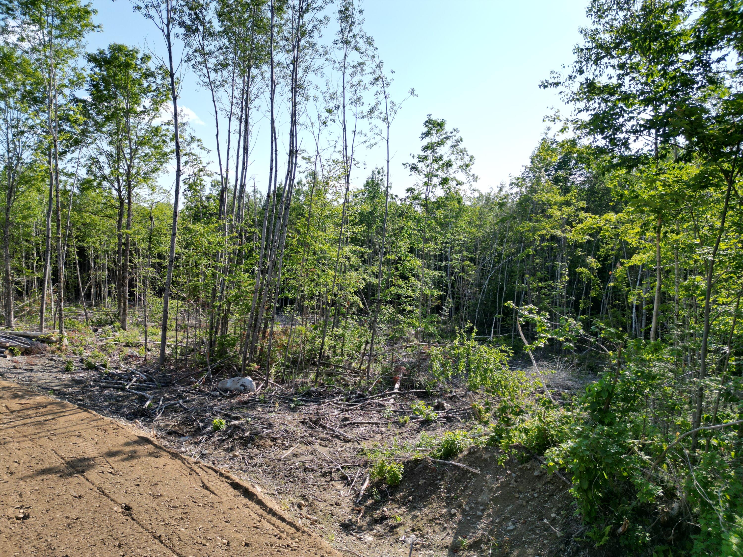 Lot 1-2 Off Clear Cut Lodge Road Springfield, ME 04487 - Photo 5 of 15 DJI_0005
