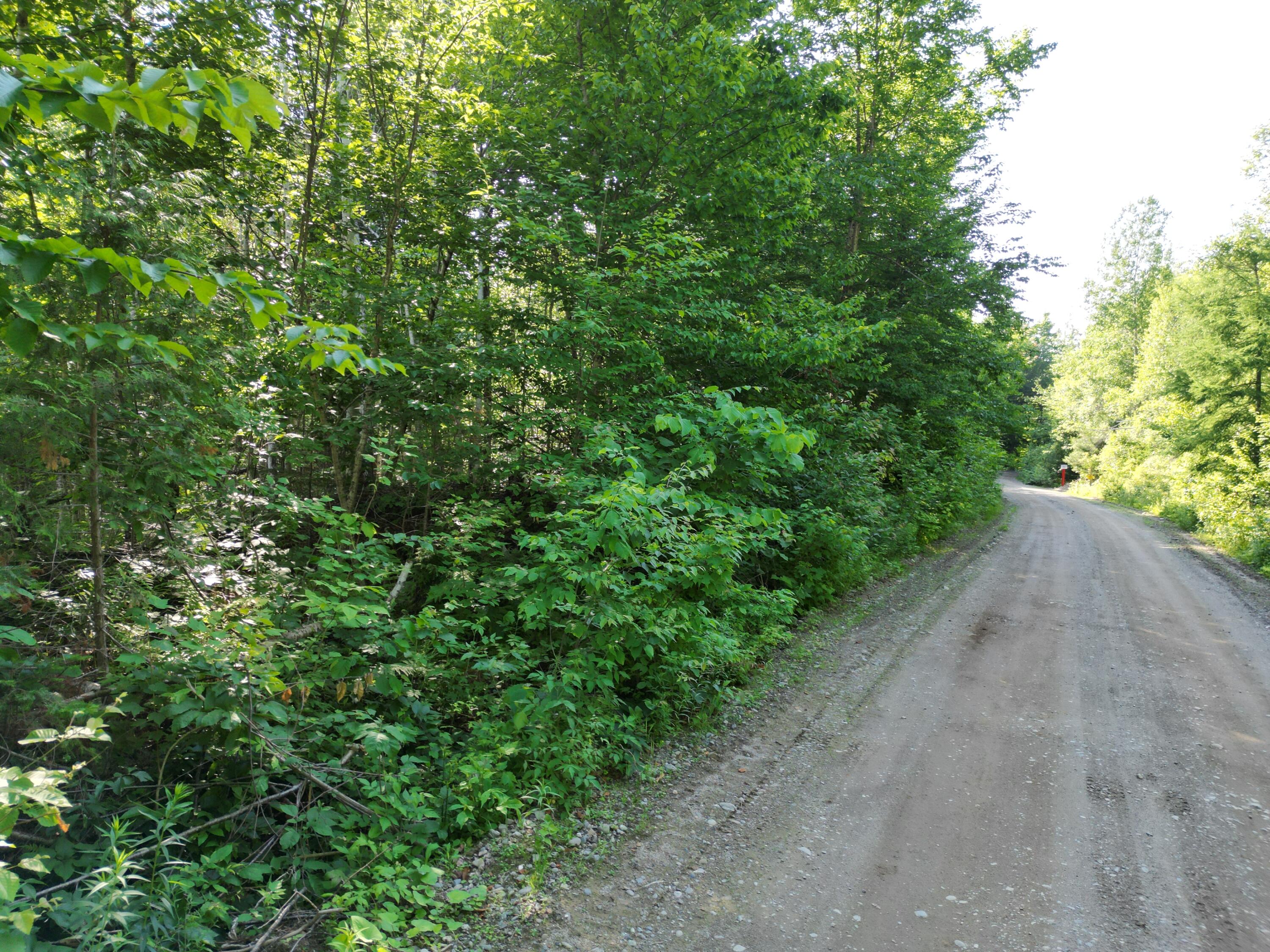 Lot 1-2 Off Clear Cut Lodge Road Springfield, ME 04487 - Photo 6 of 15 DJI_0006