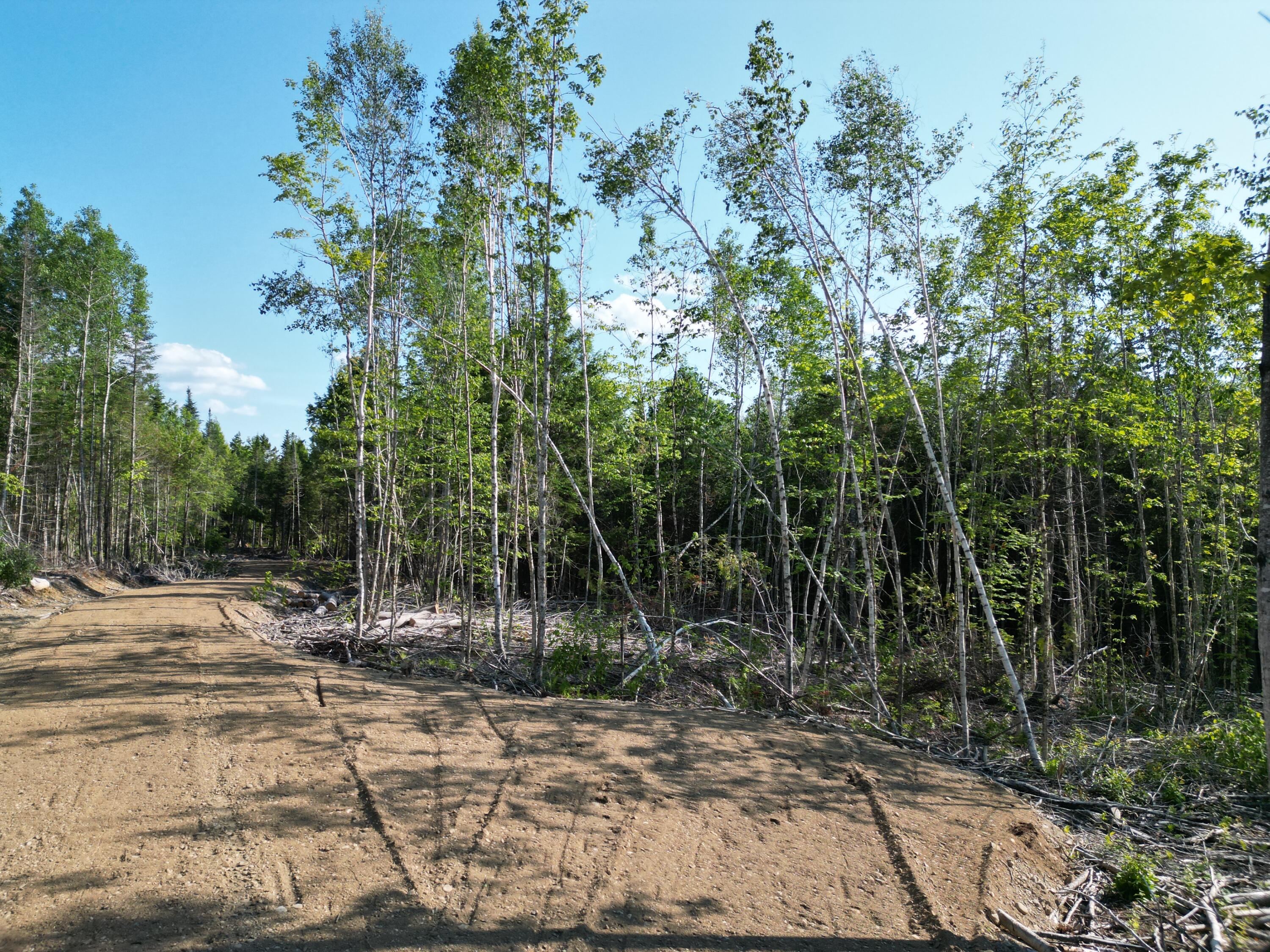 Lot 1-2 Off Clear Cut Lodge Road Springfield, ME 04487 - Photo 9 of 15 DJI_0994