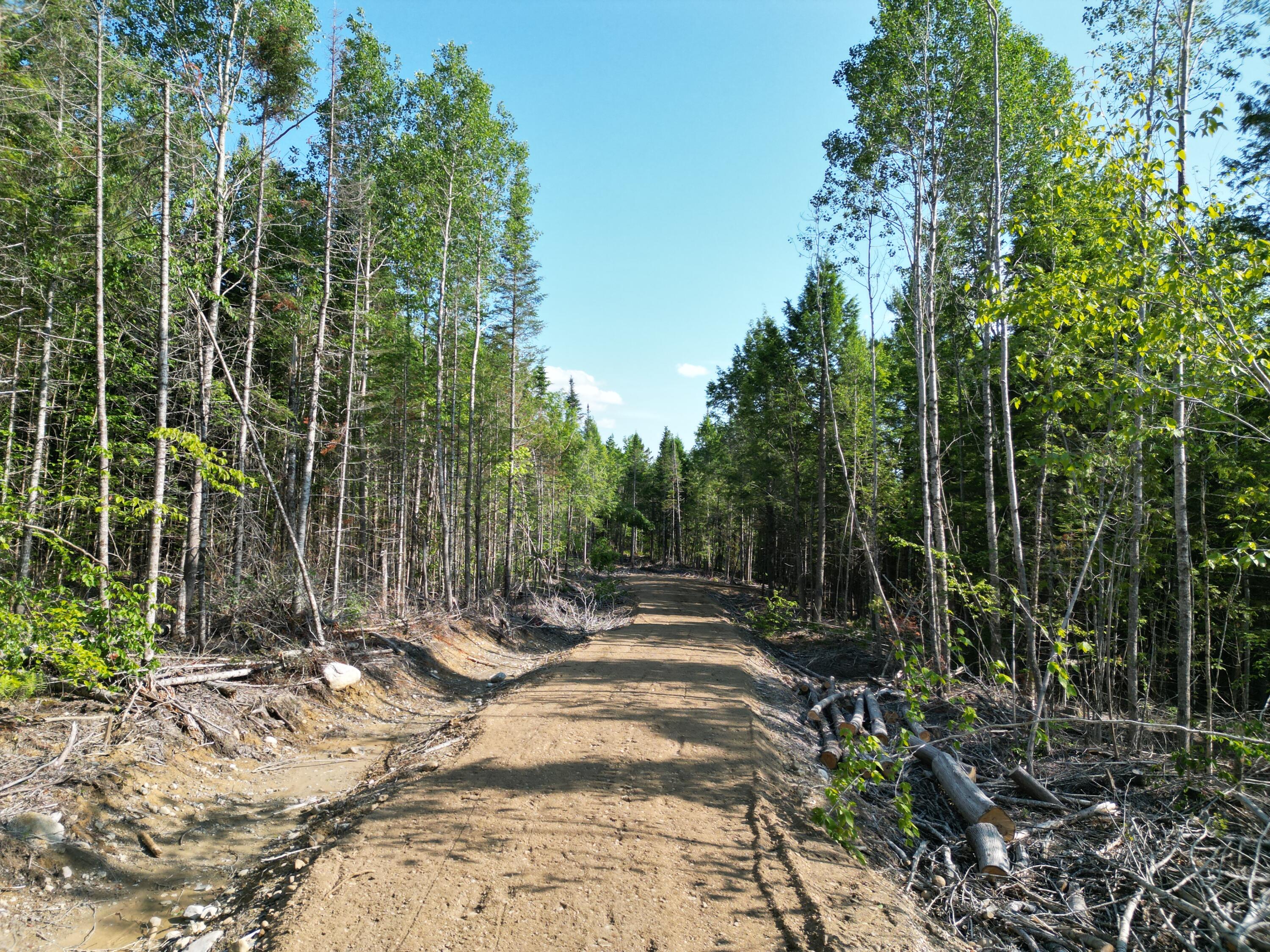 Lot 1-2 Off Clear Cut Lodge Road Springfield, ME 04487 - Photo 10 of 15 DJI_0995
