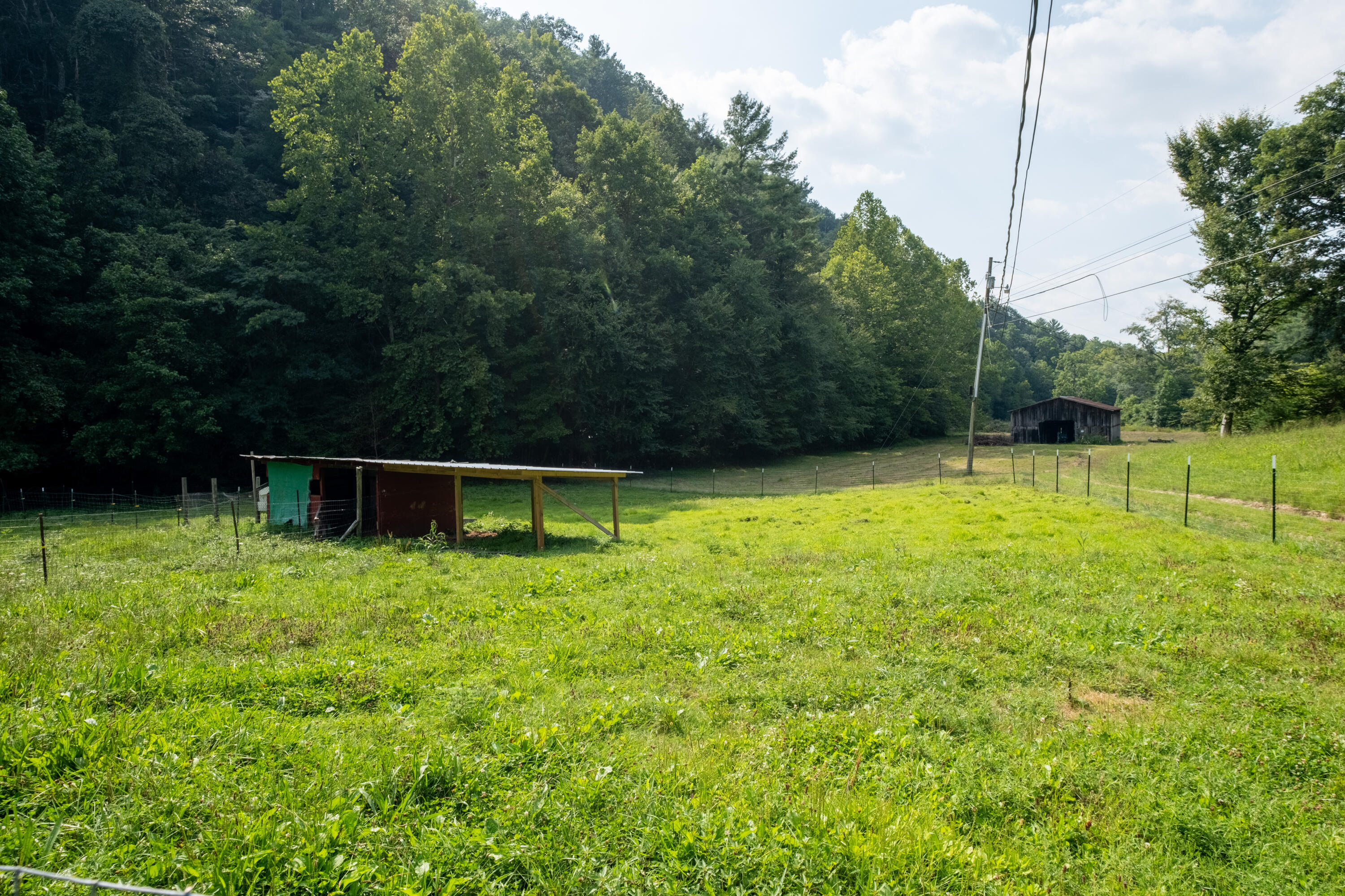 1701 Ryder Church Road Bluff City, TN 37618 - Photo 14 of 35 WBP-Ryder-Church-14