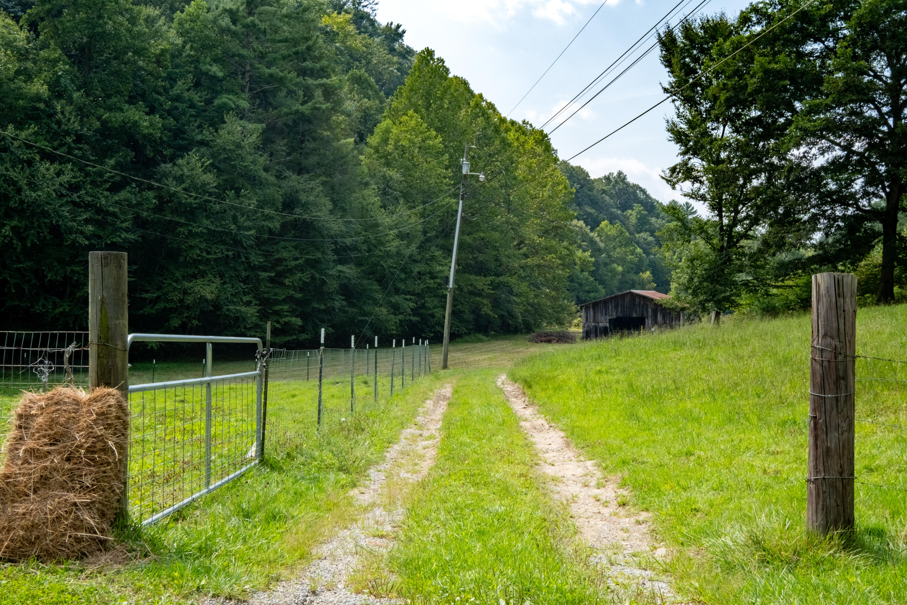 1701 Ryder Church Road Bluff City, TN 37618 - Photo 4 of 35 WBP-Ryder-Church-4