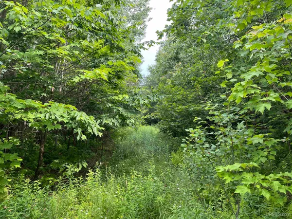 $99,000 | 80-acres Atherton Road, Trenary, MI 49891