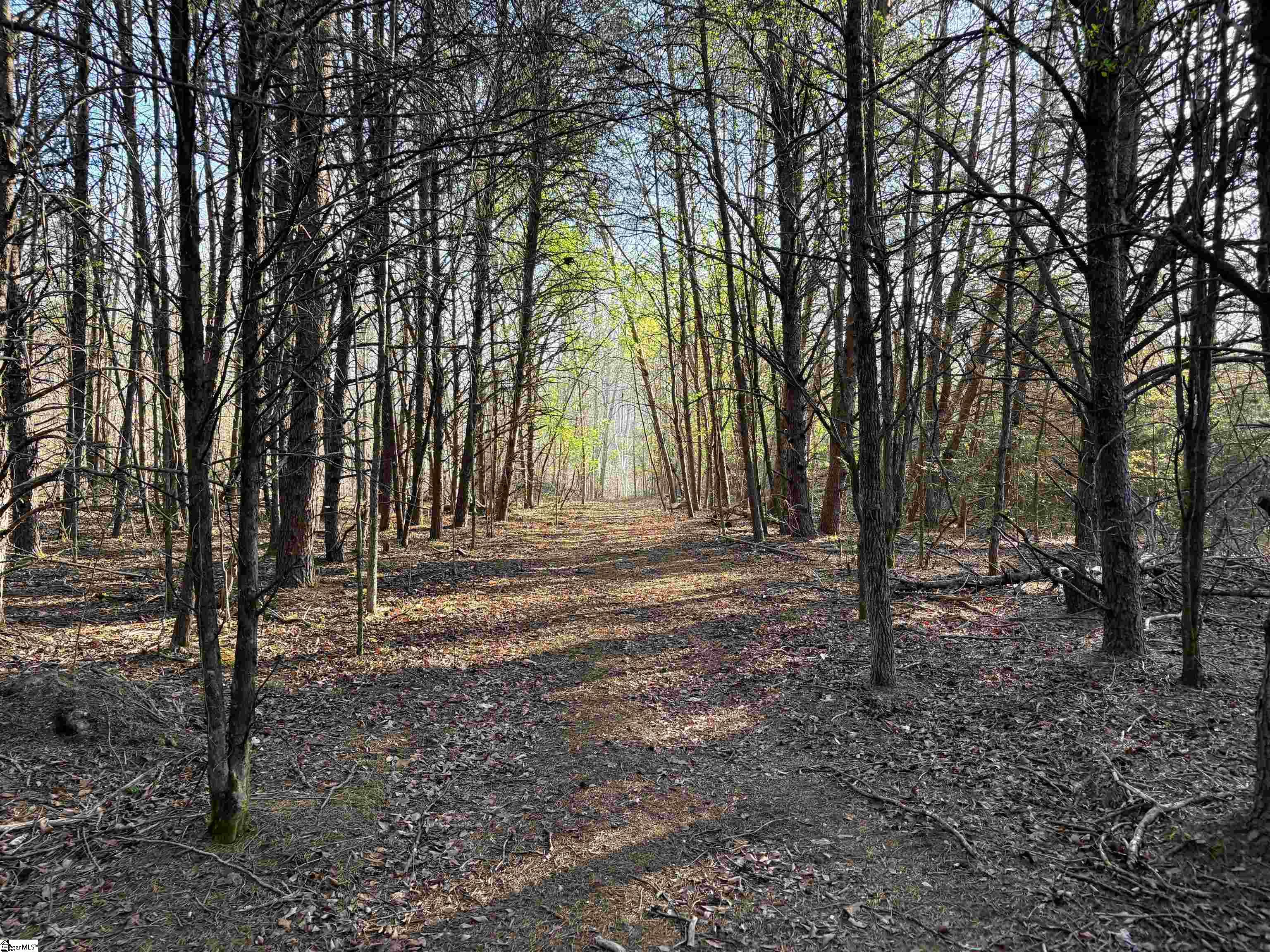 829 Bramlett Road Laurens, SC 29360 - Photo 11 of 26