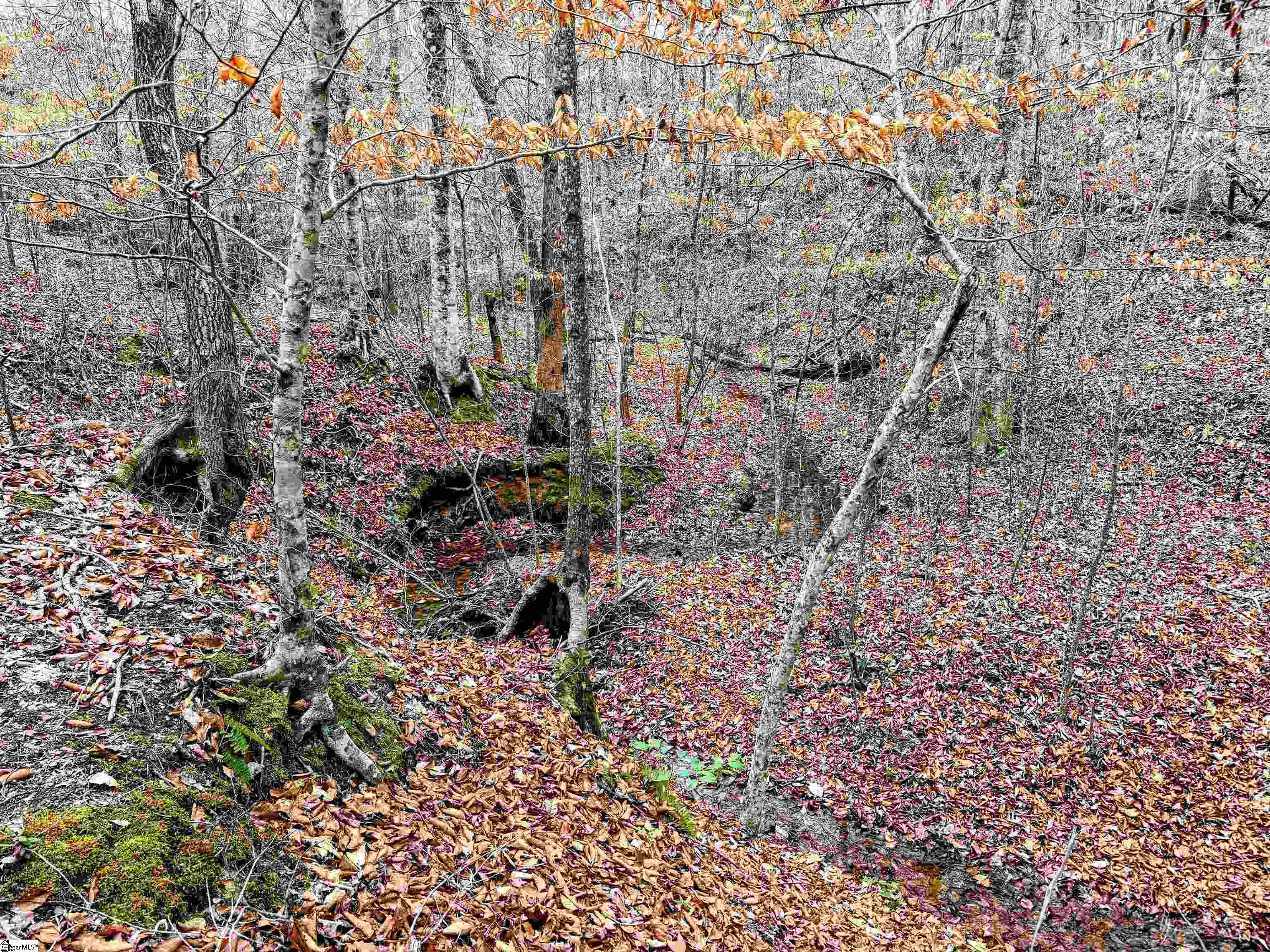 829 Bramlett Road Laurens, SC 29360 - Photo 12 of 26