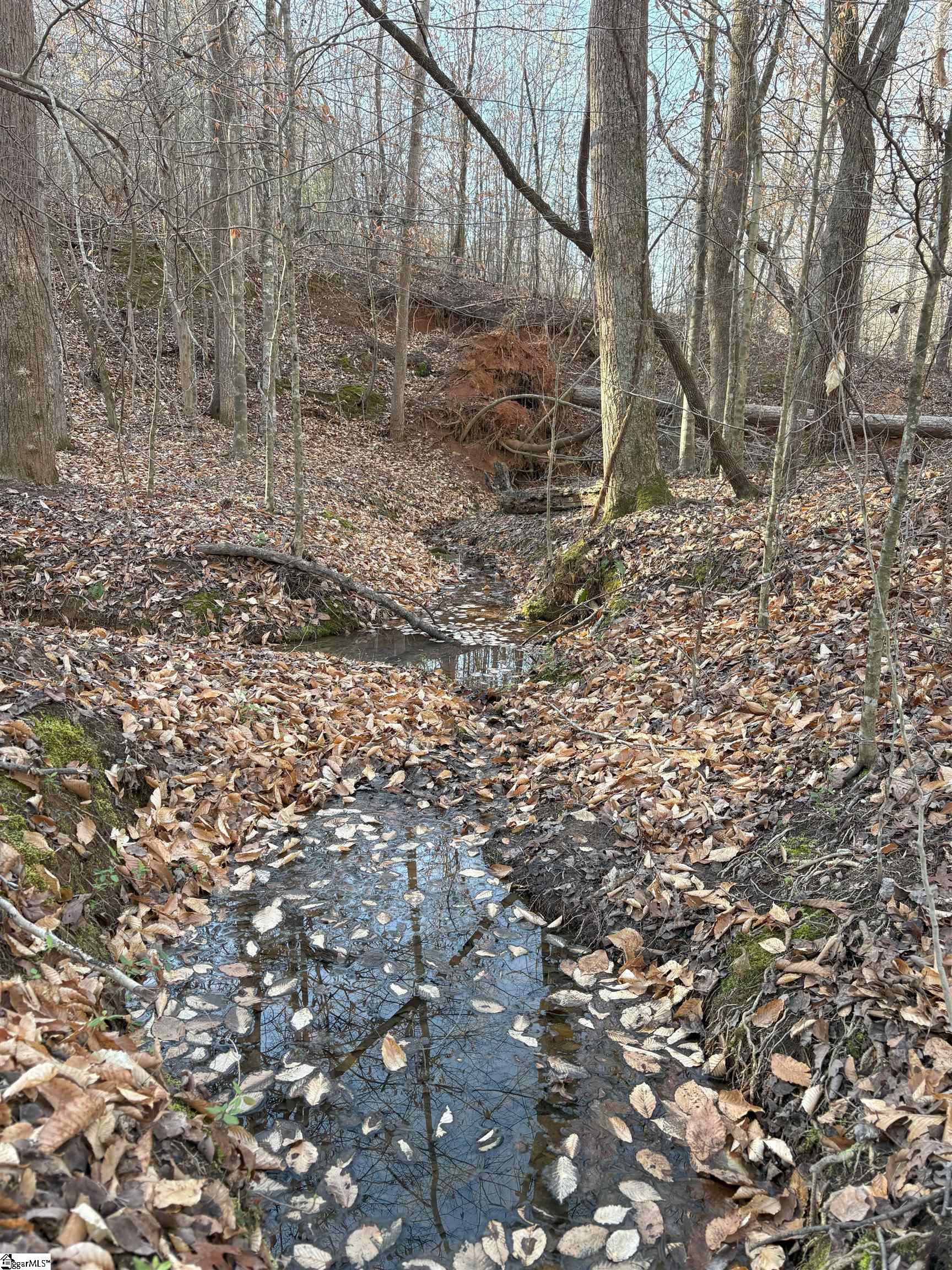 829 Bramlett Road Laurens, SC 29360 - Photo 13 of 26