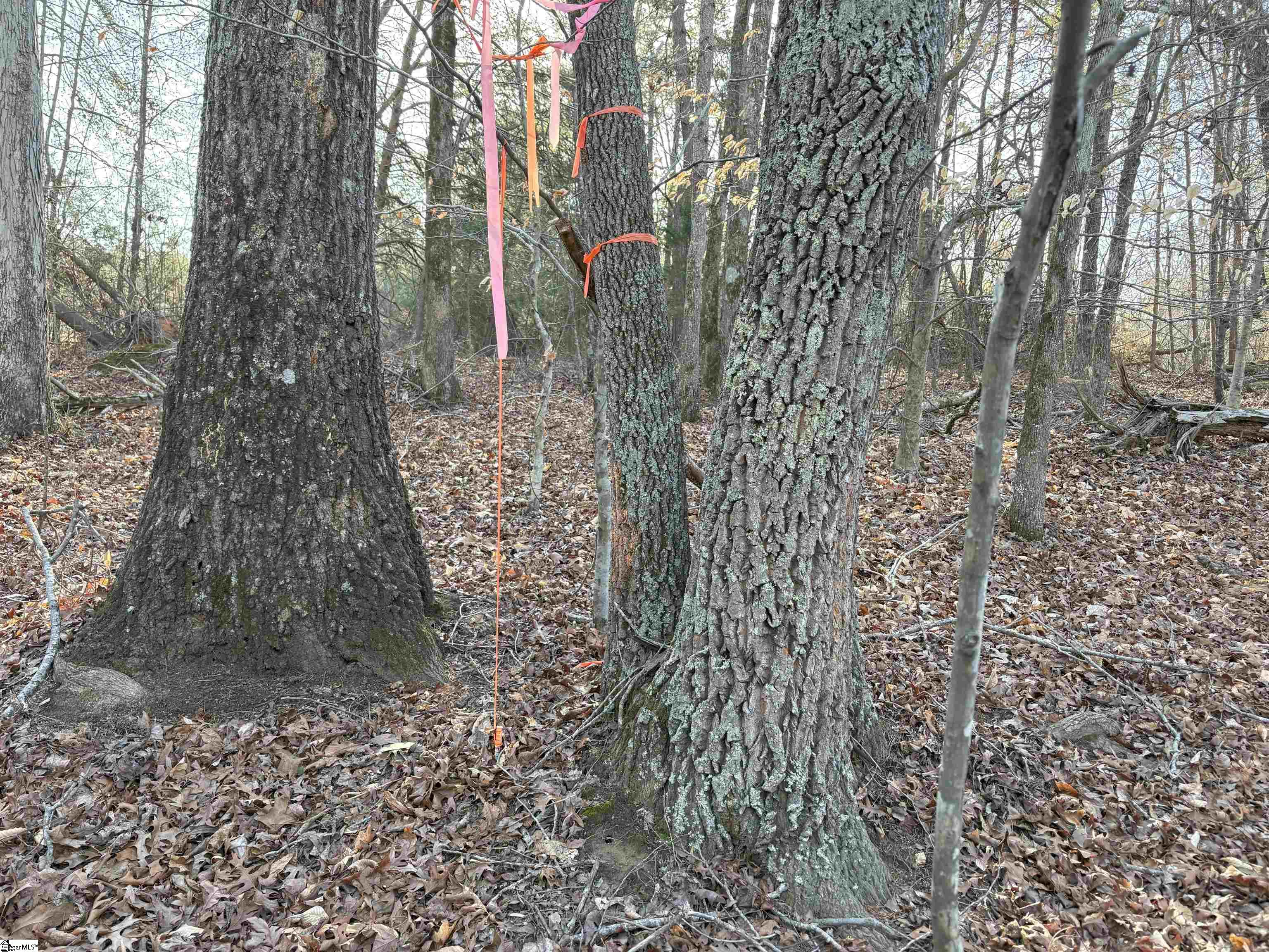 829 Bramlett Road Laurens, SC 29360 - Photo 15 of 26