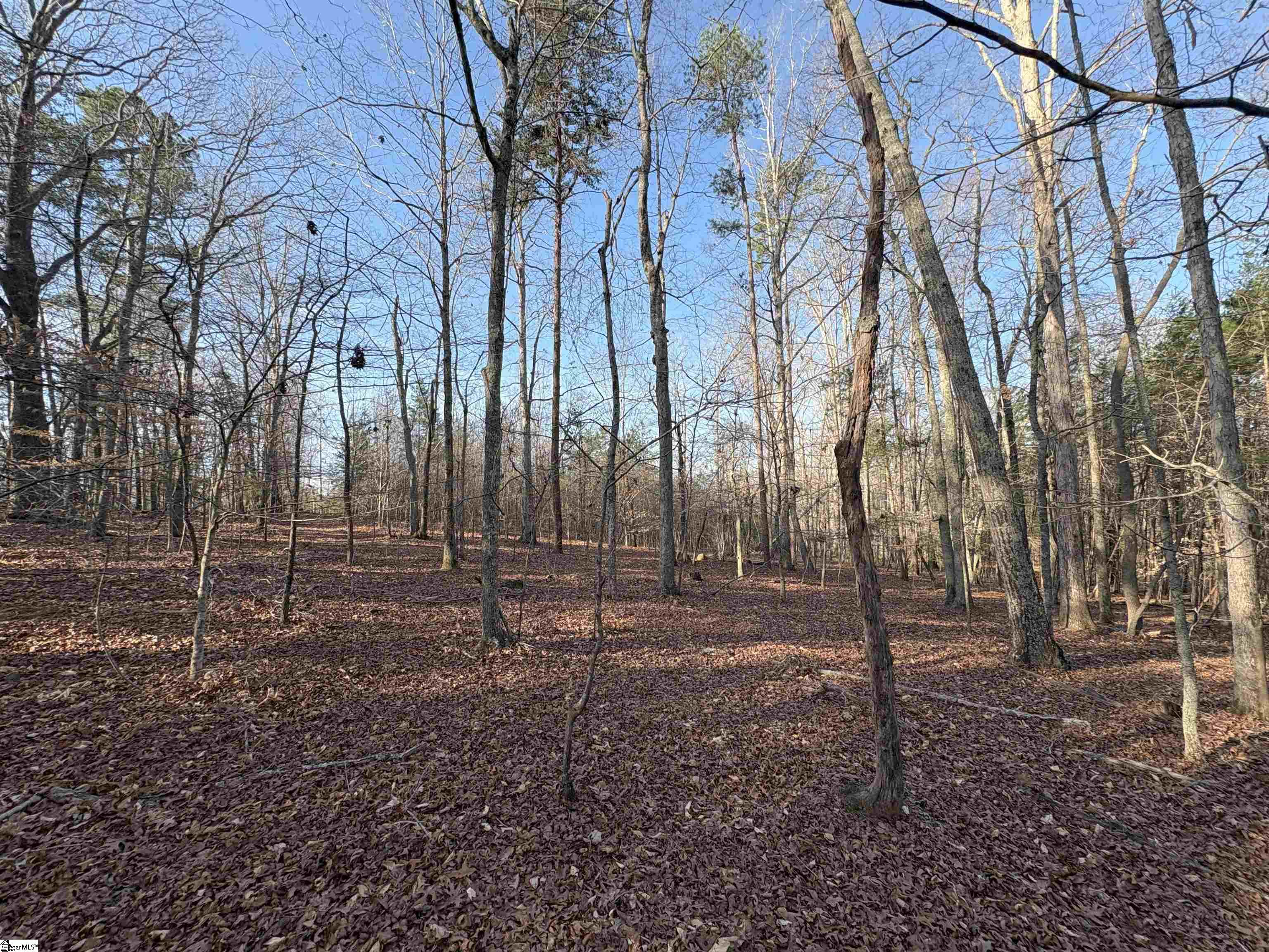 829 Bramlett Road Laurens, SC 29360 - Photo 16 of 26