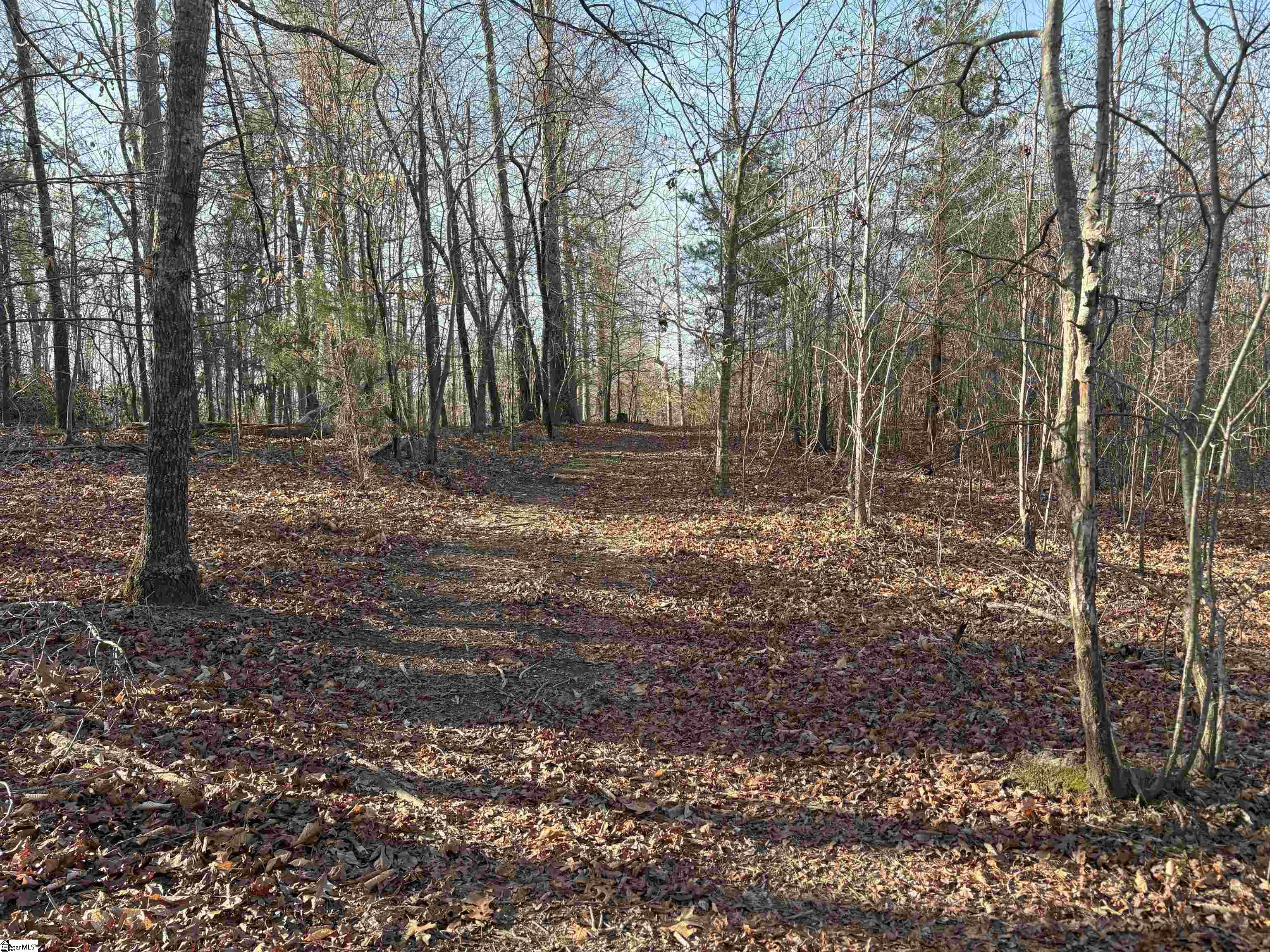 829 Bramlett Road Laurens, SC 29360 - Photo 17 of 26