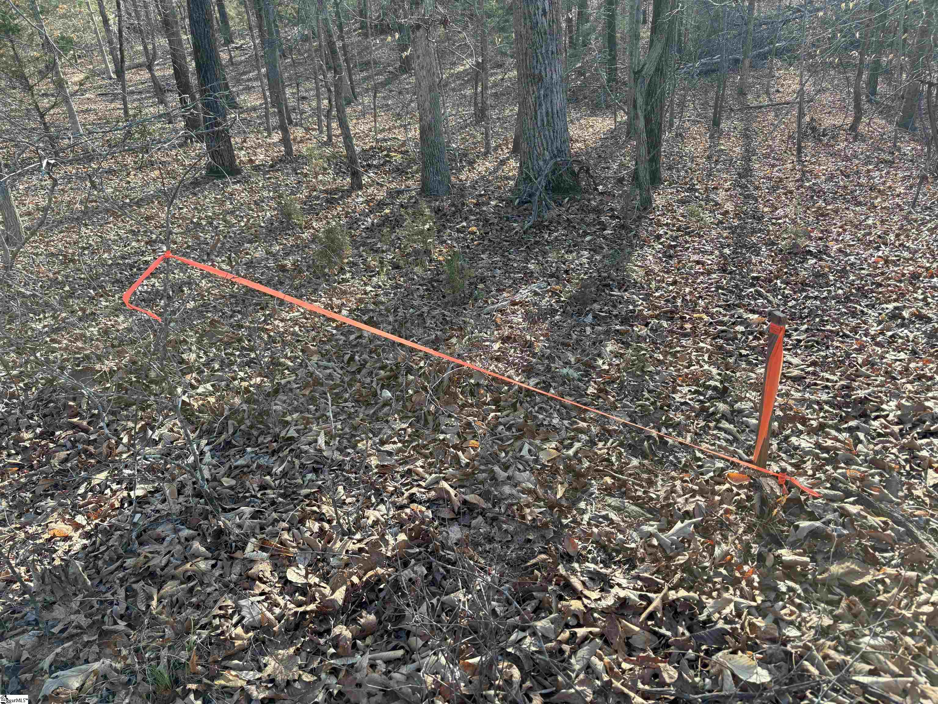 829 Bramlett Road Laurens, SC 29360 - Photo 18 of 26