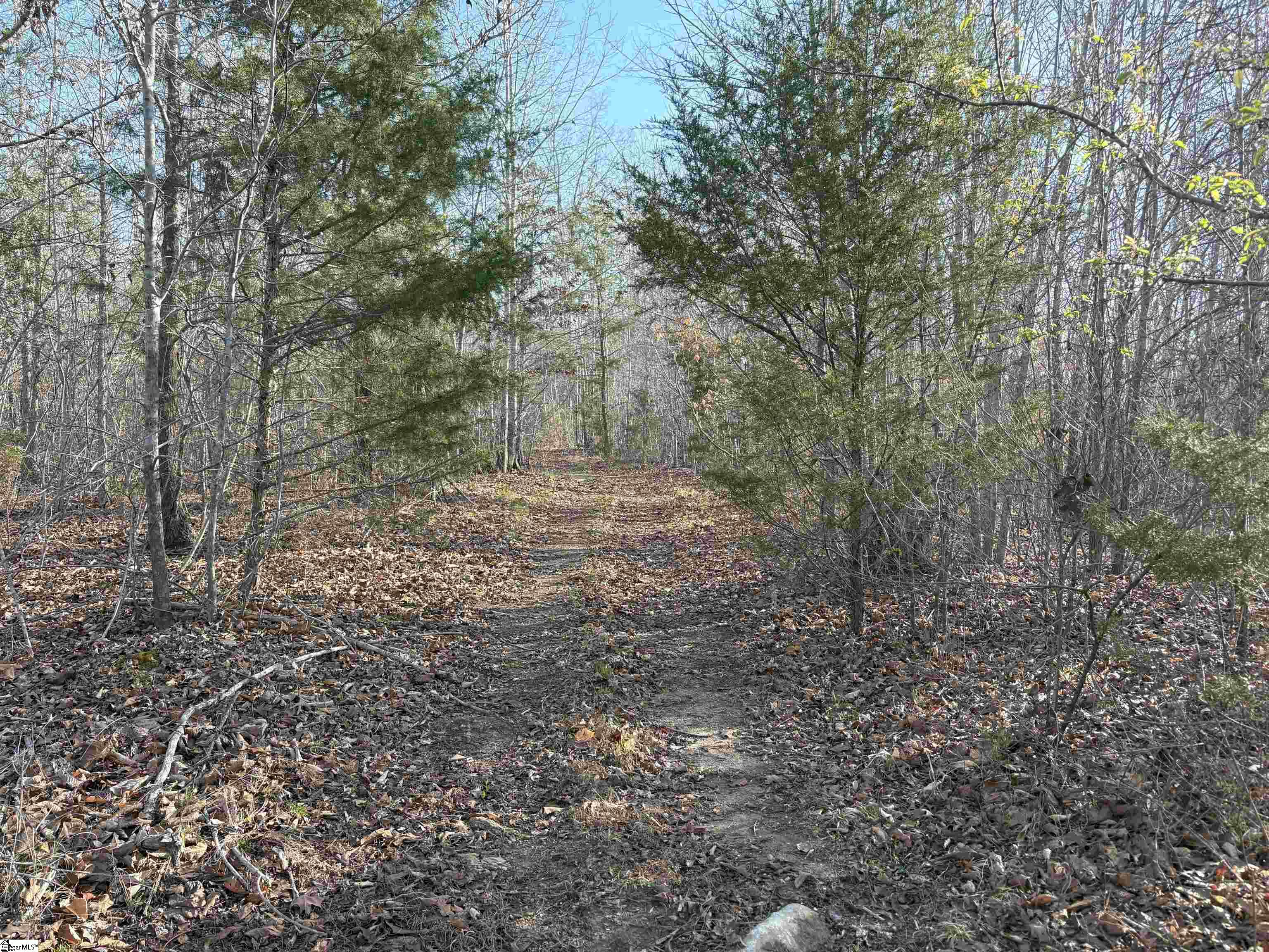 829 Bramlett Road Laurens, SC 29360 - Photo 19 of 26