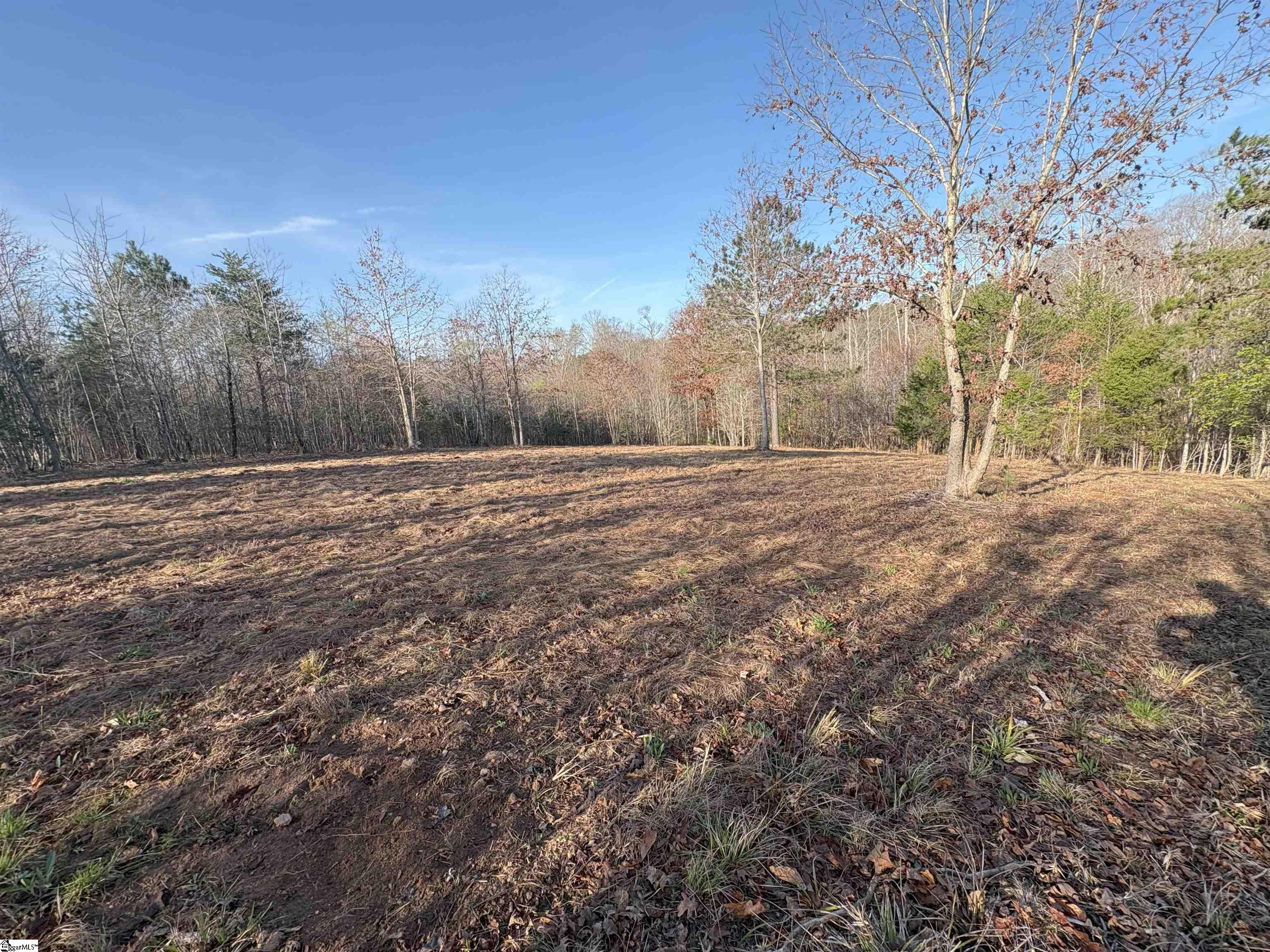 829 Bramlett Road Laurens, SC 29360 - Photo 20 of 26