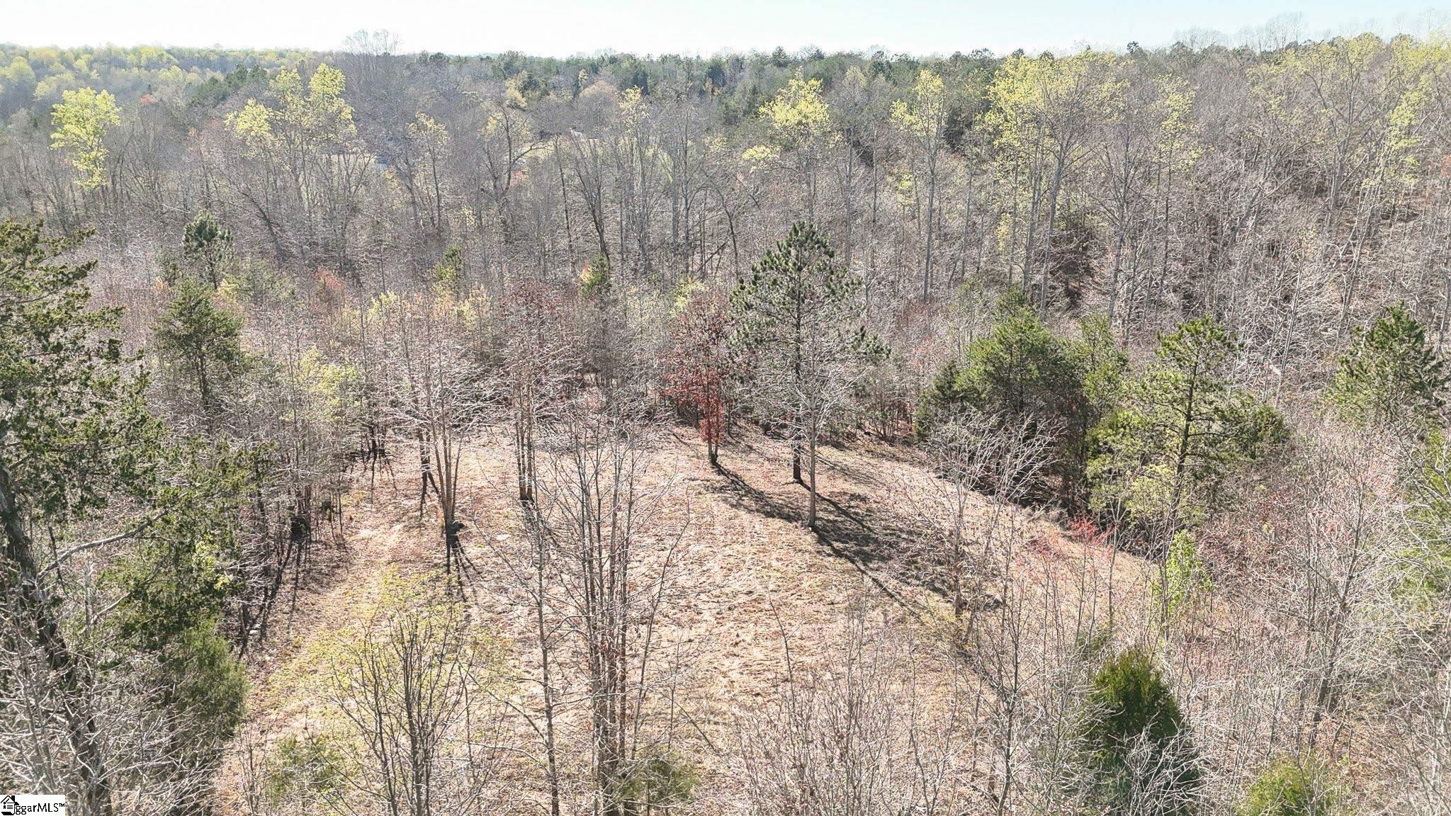 829 Bramlett Road Laurens, SC 29360 - Photo 26 of 26