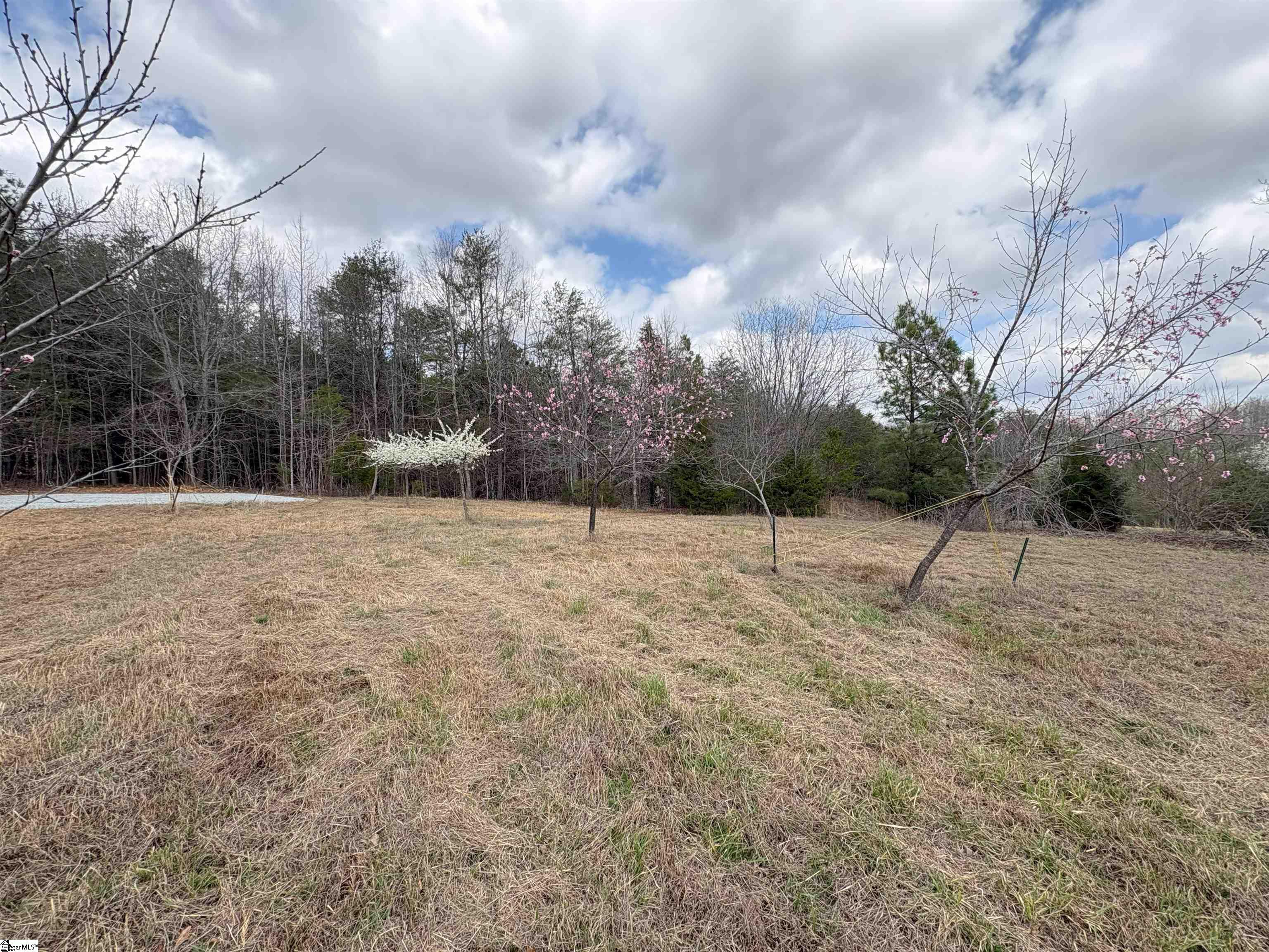 829 Bramlett Road Laurens, SC 29360 - Photo 6 of 26