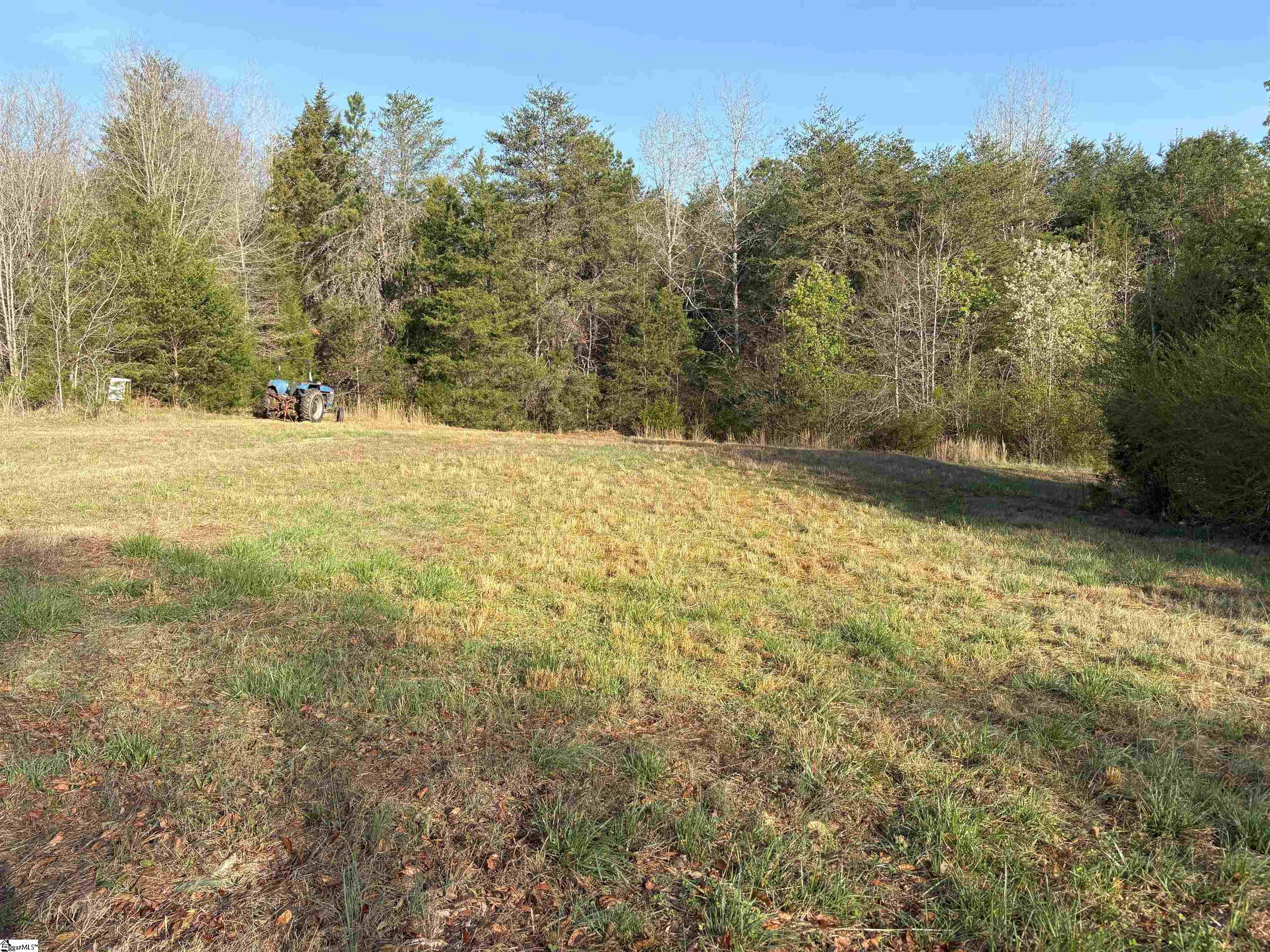 829 Bramlett Road Laurens, SC 29360 - Photo 8 of 26