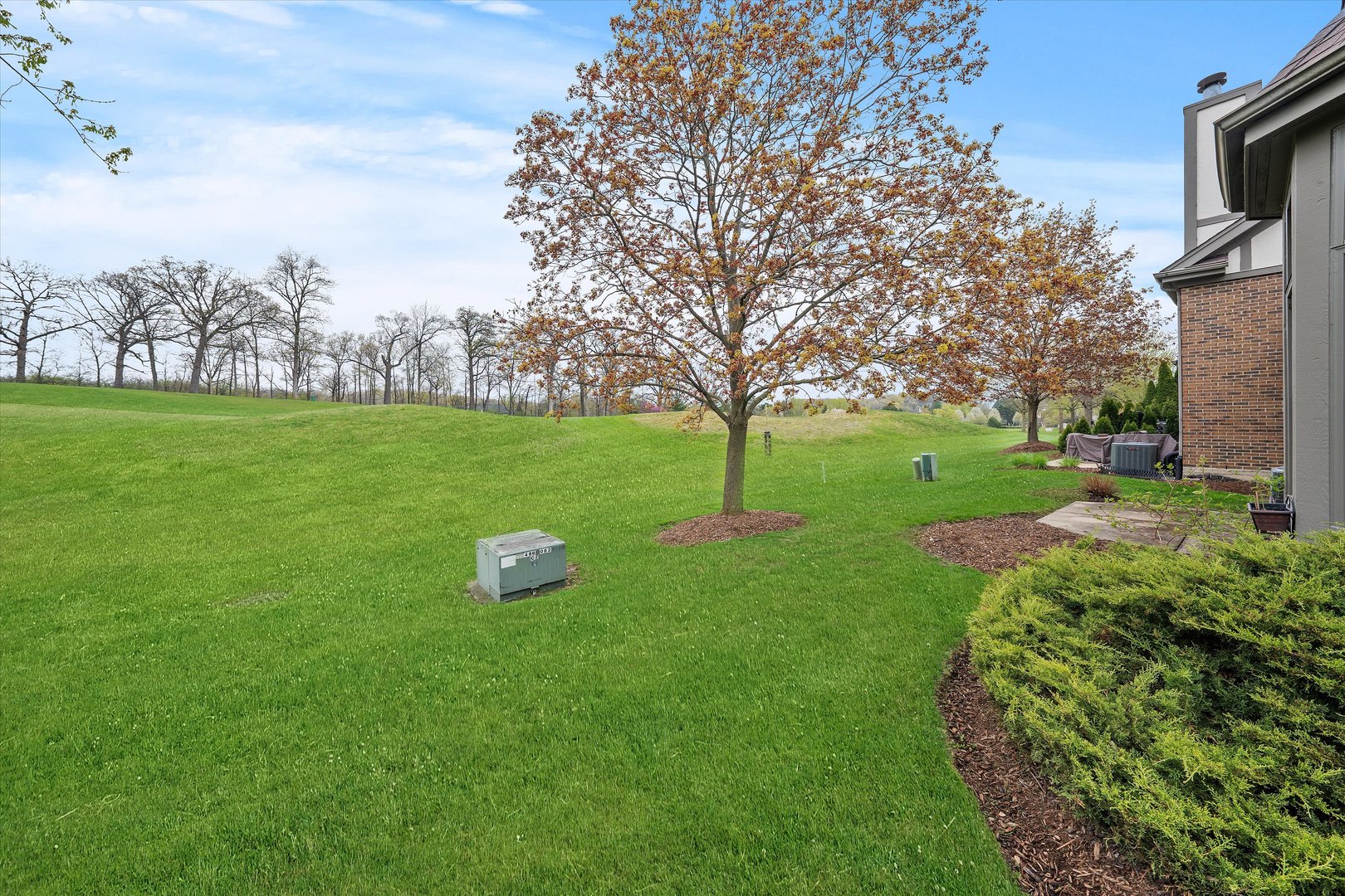 10620 Golf Road Orland Park, IL 60462 - Photo 33 of 42 a green field with lots of trees in the background