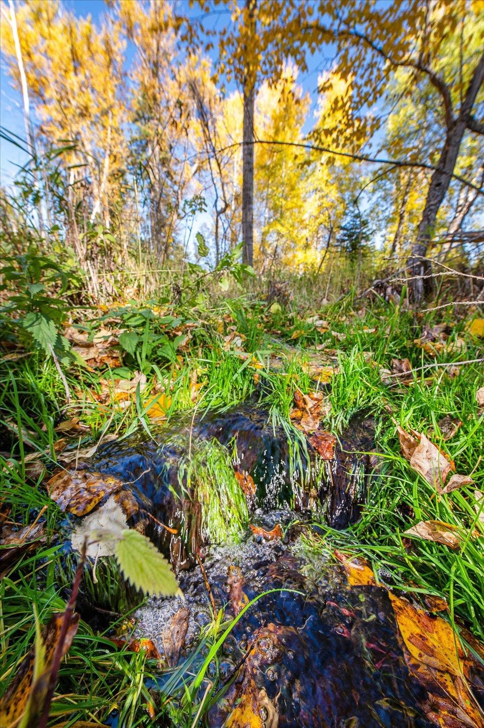 1354 South Basin Road Colville, WA 99114 - Photo 39 of 43