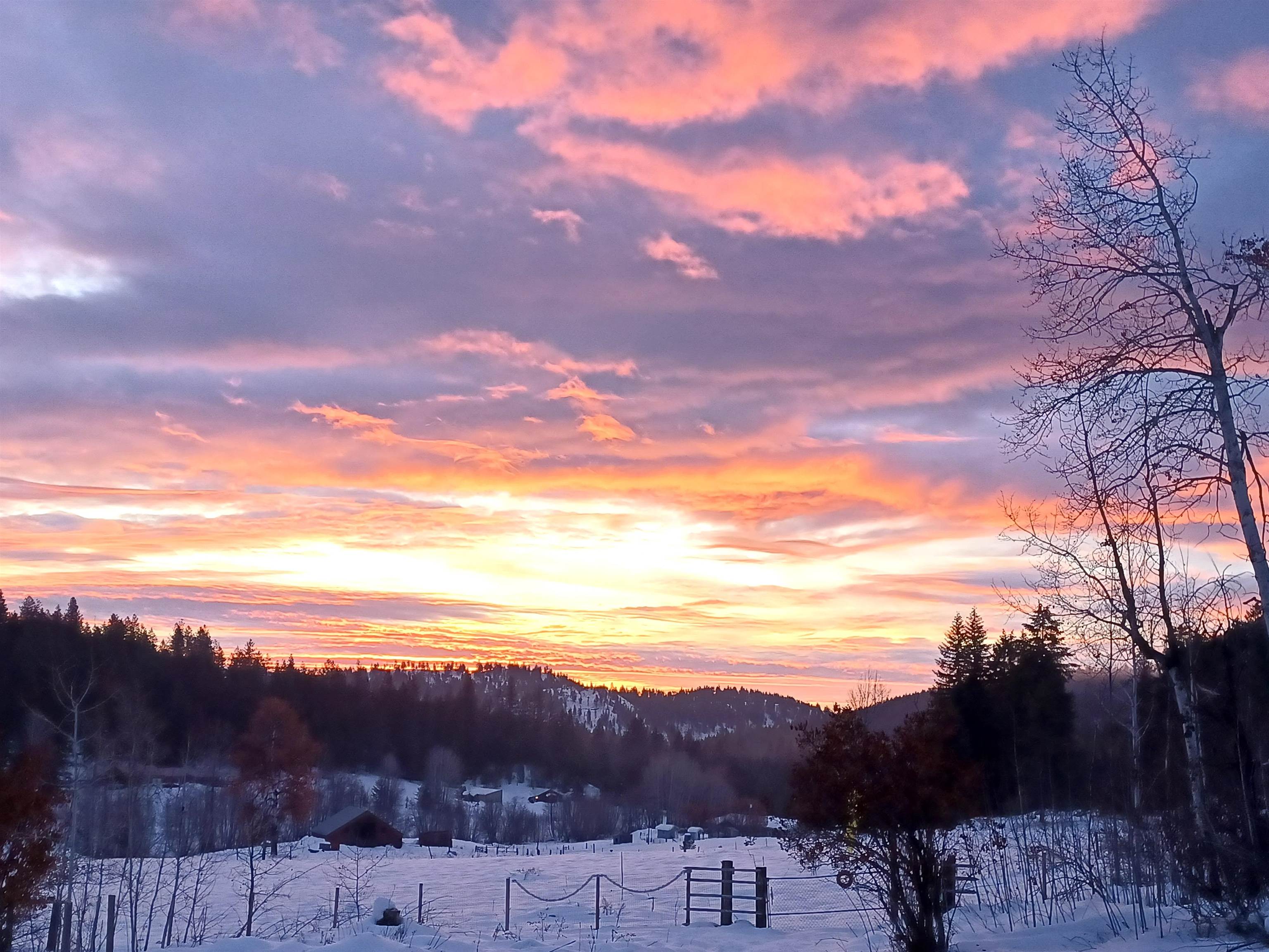 1354 South Basin Road Colville, WA 99114 - Photo 41 of 43