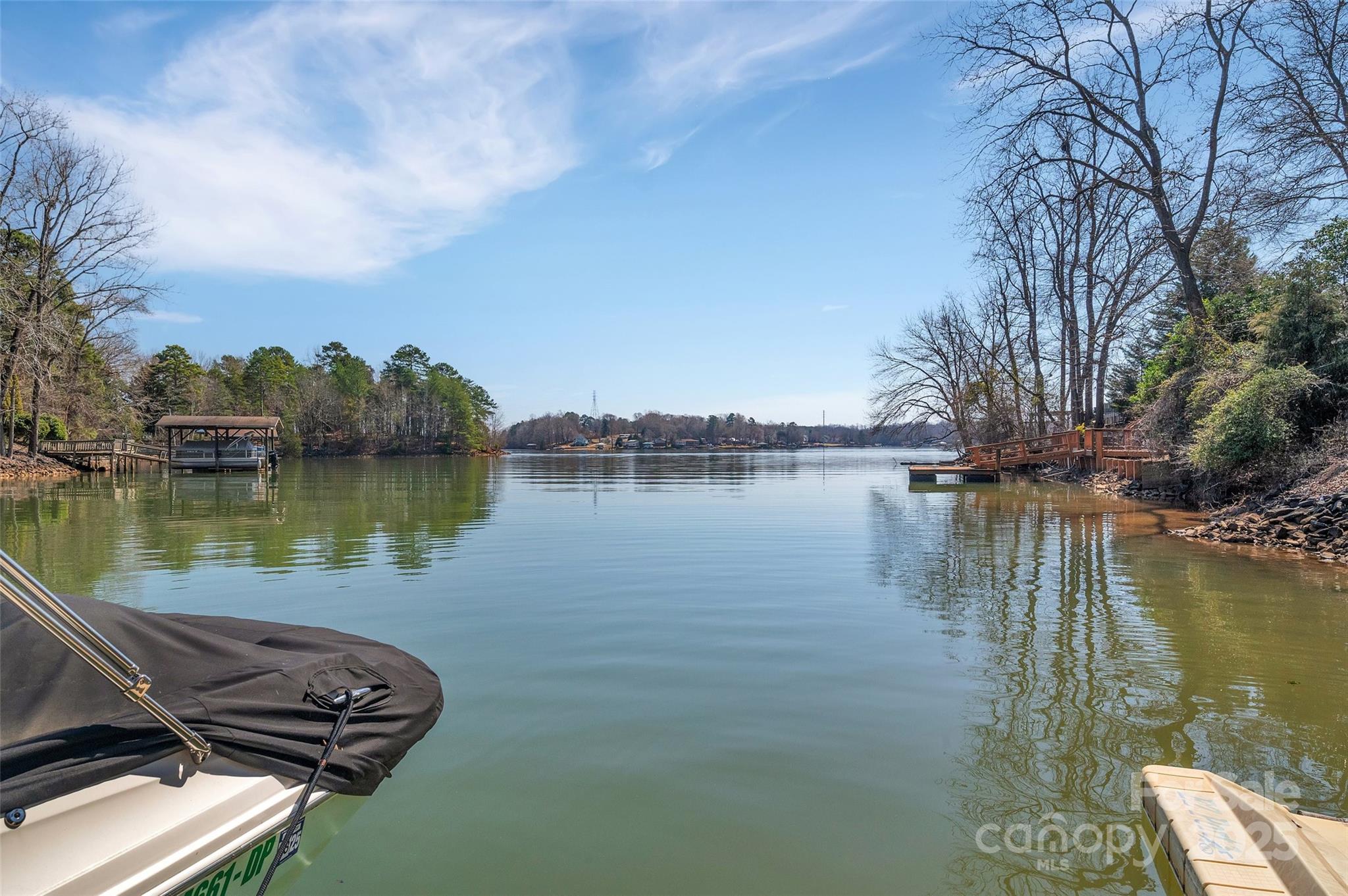 1077 Gauguin Lane Tega Cay, SC 29708 - Photo 5 of 38